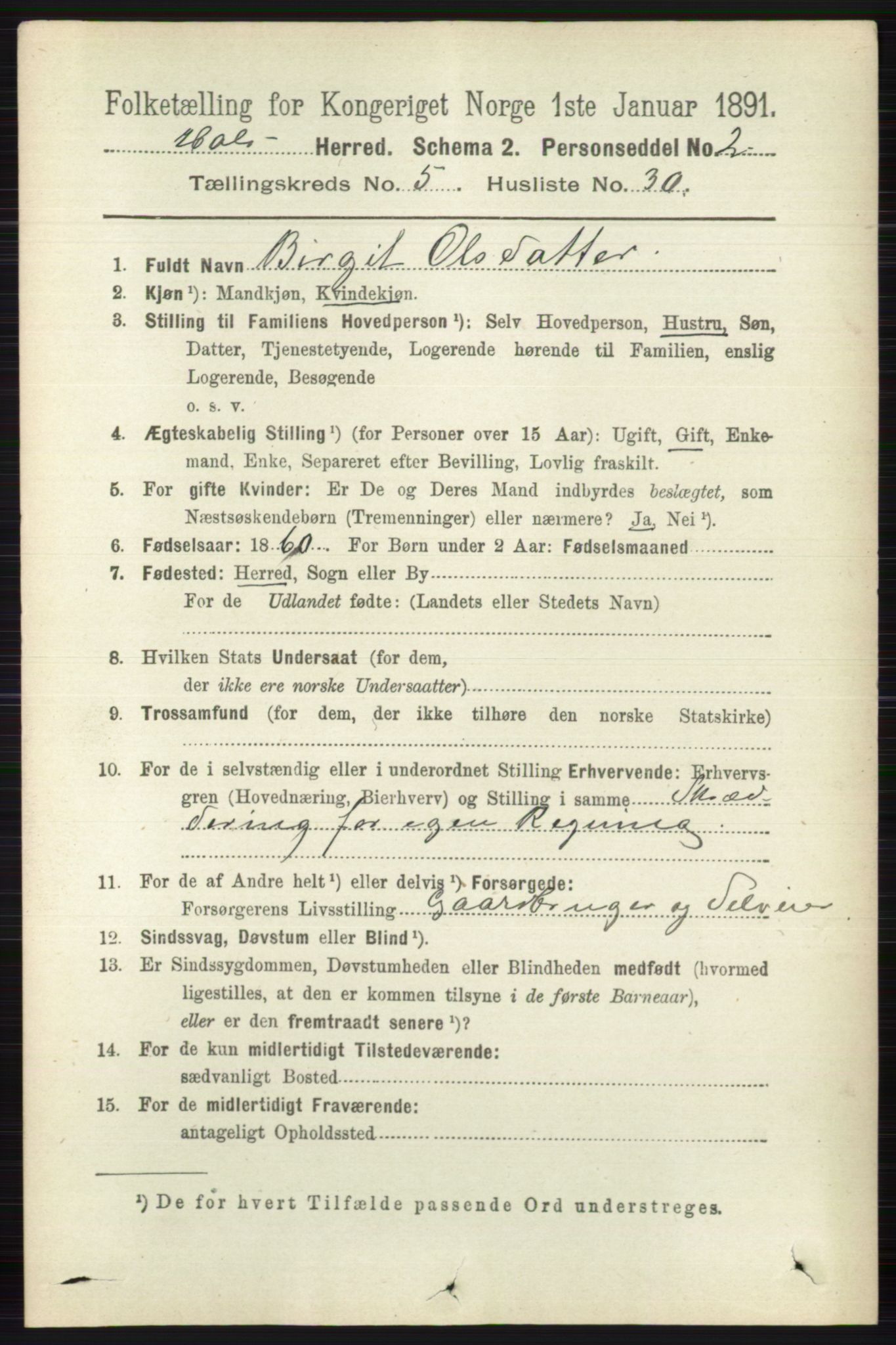 RA, 1891 census for 0620 Hol, 1891, p. 1635