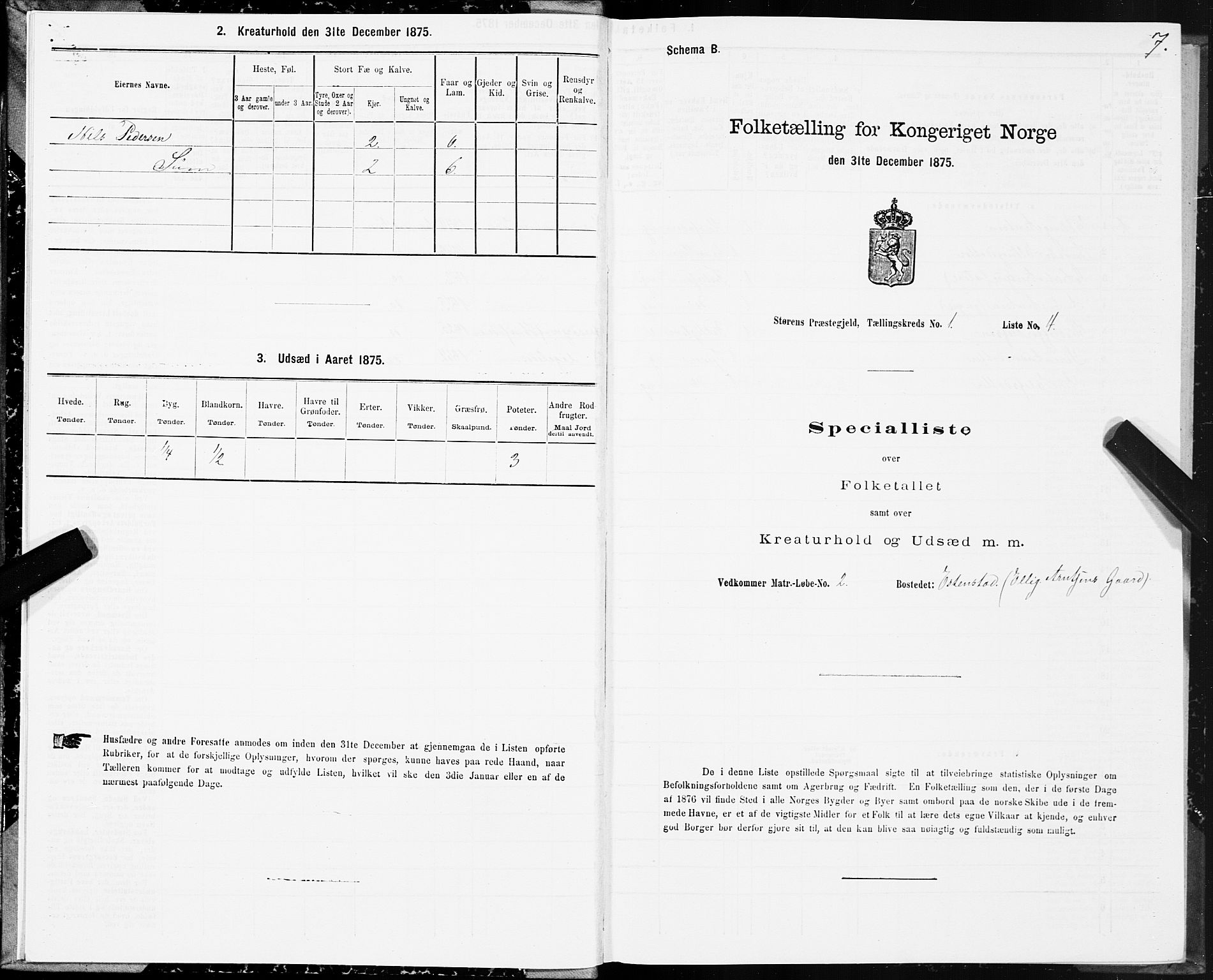 SAT, 1875 census for 1648P Støren, 1875, p. 7007