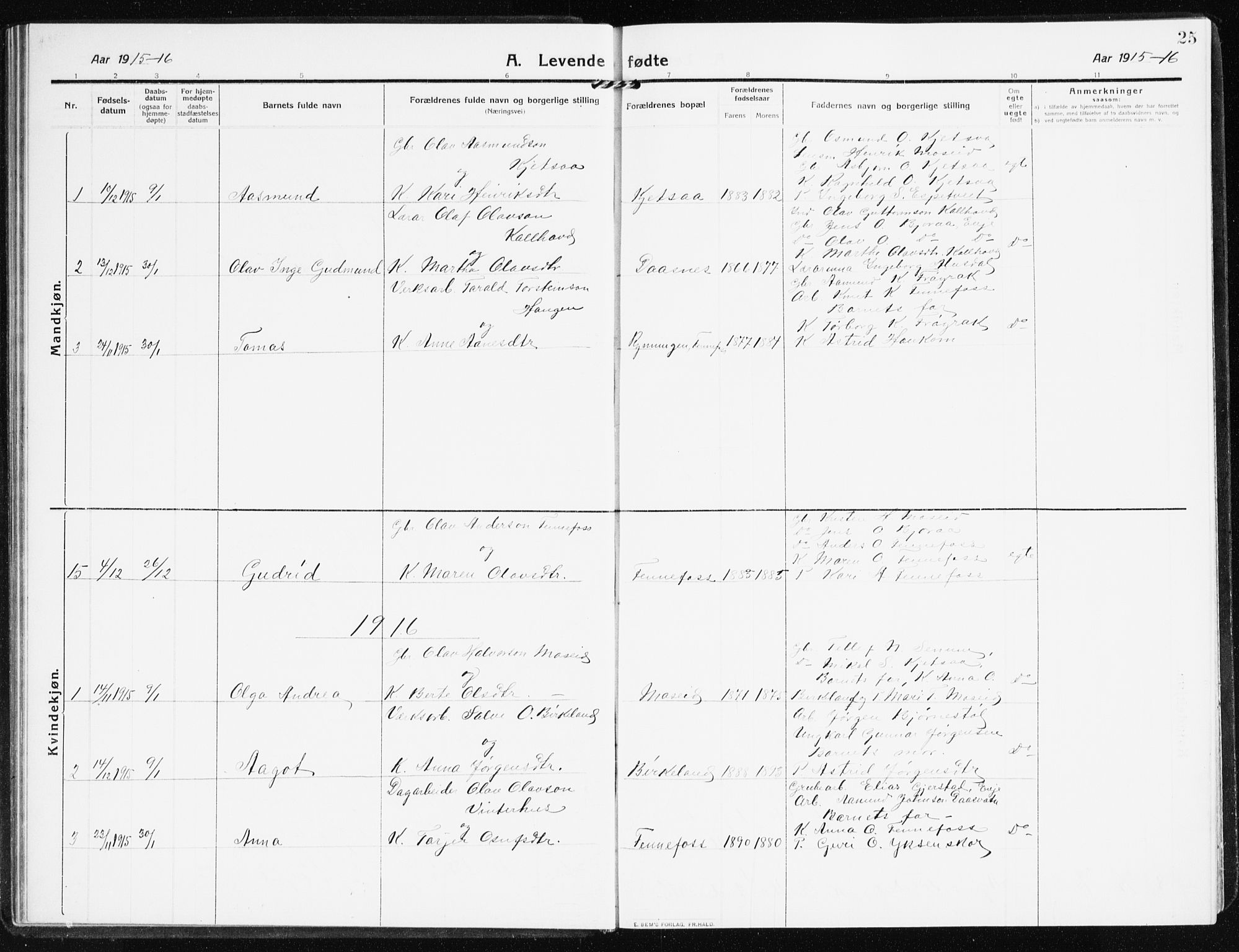 Evje sokneprestkontor, AV/SAK-1111-0008/F/Fb/Fbb/L0003: Parish register (copy) no. B 3, 1910-1933, p. 25