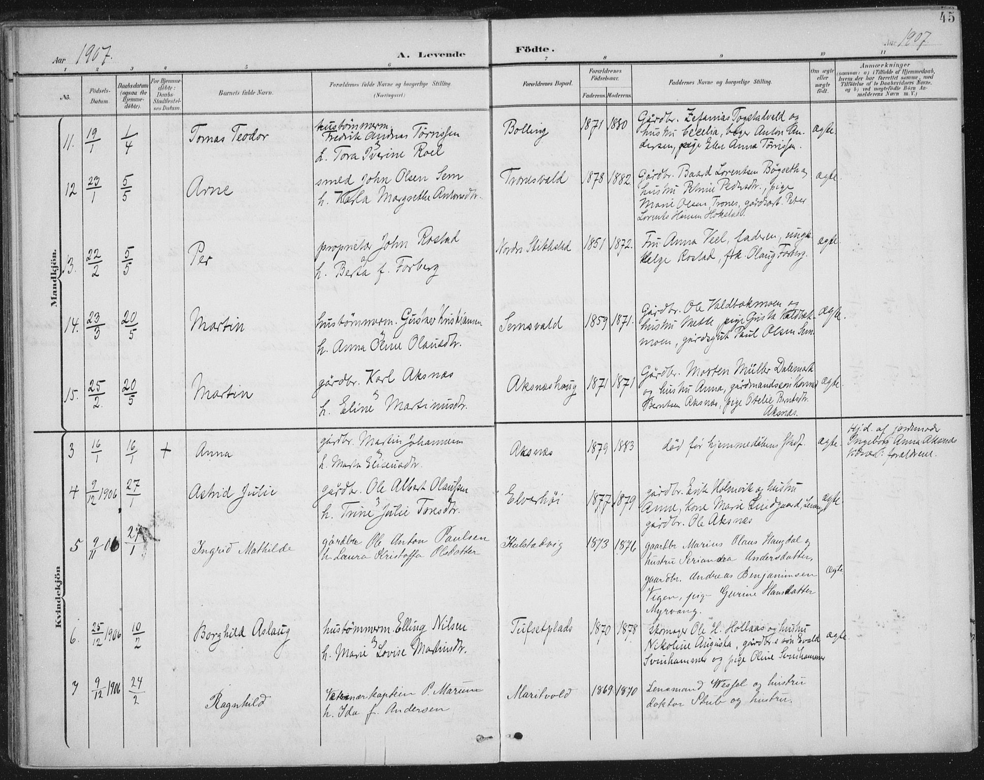 Ministerialprotokoller, klokkerbøker og fødselsregistre - Nord-Trøndelag, AV/SAT-A-1458/723/L0246: Parish register (official) no. 723A15, 1900-1917, p. 45