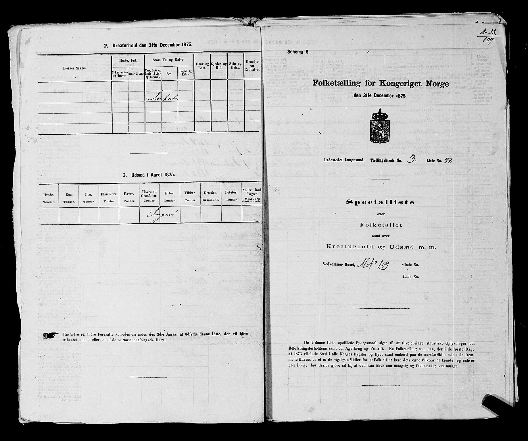 SAKO, 1875 census for 0802B Bamble/Langesund, 1875, p. 196