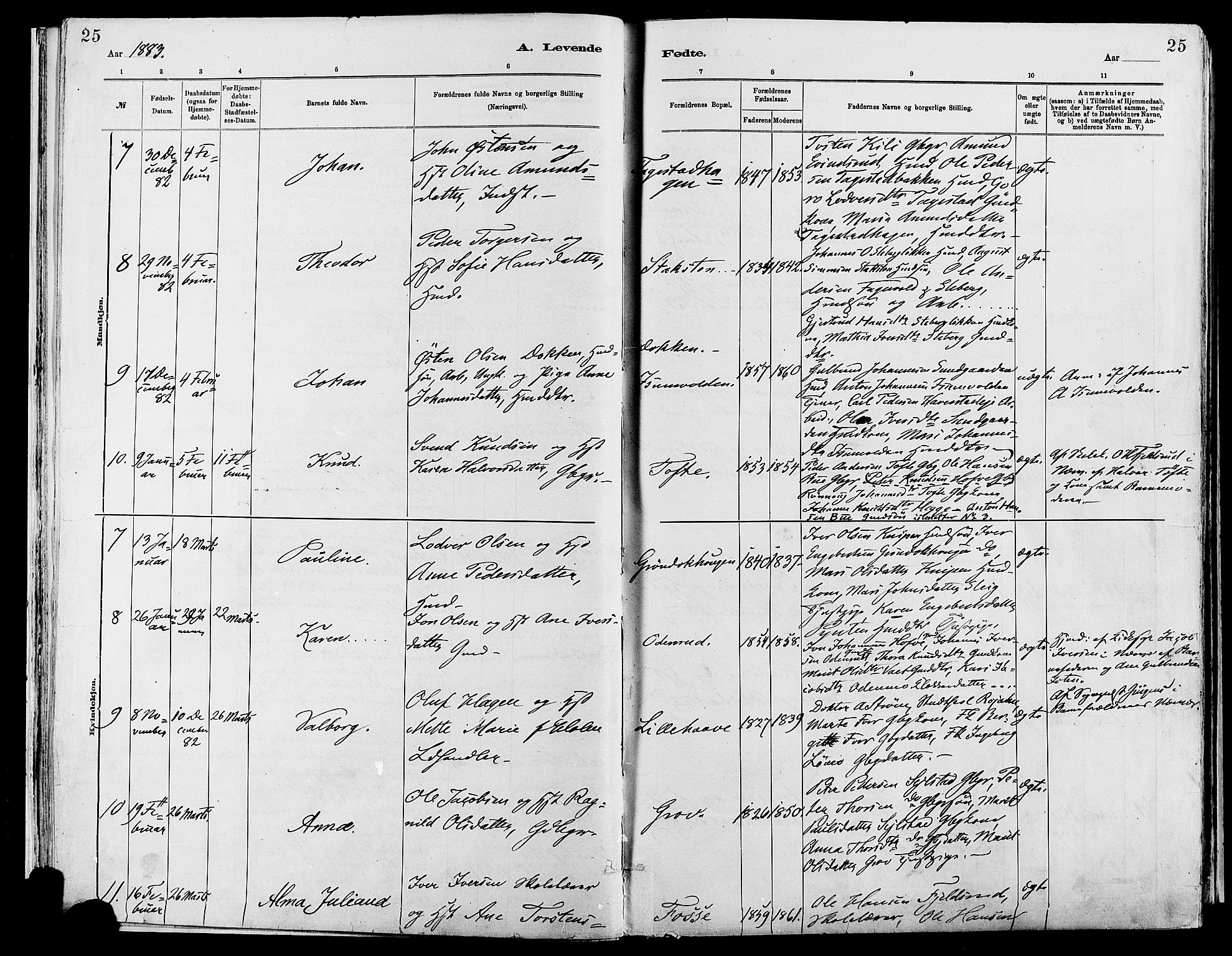 Sør-Fron prestekontor, AV/SAH-PREST-010/H/Ha/Haa/L0003: Parish register (official) no. 3, 1881-1897, p. 25