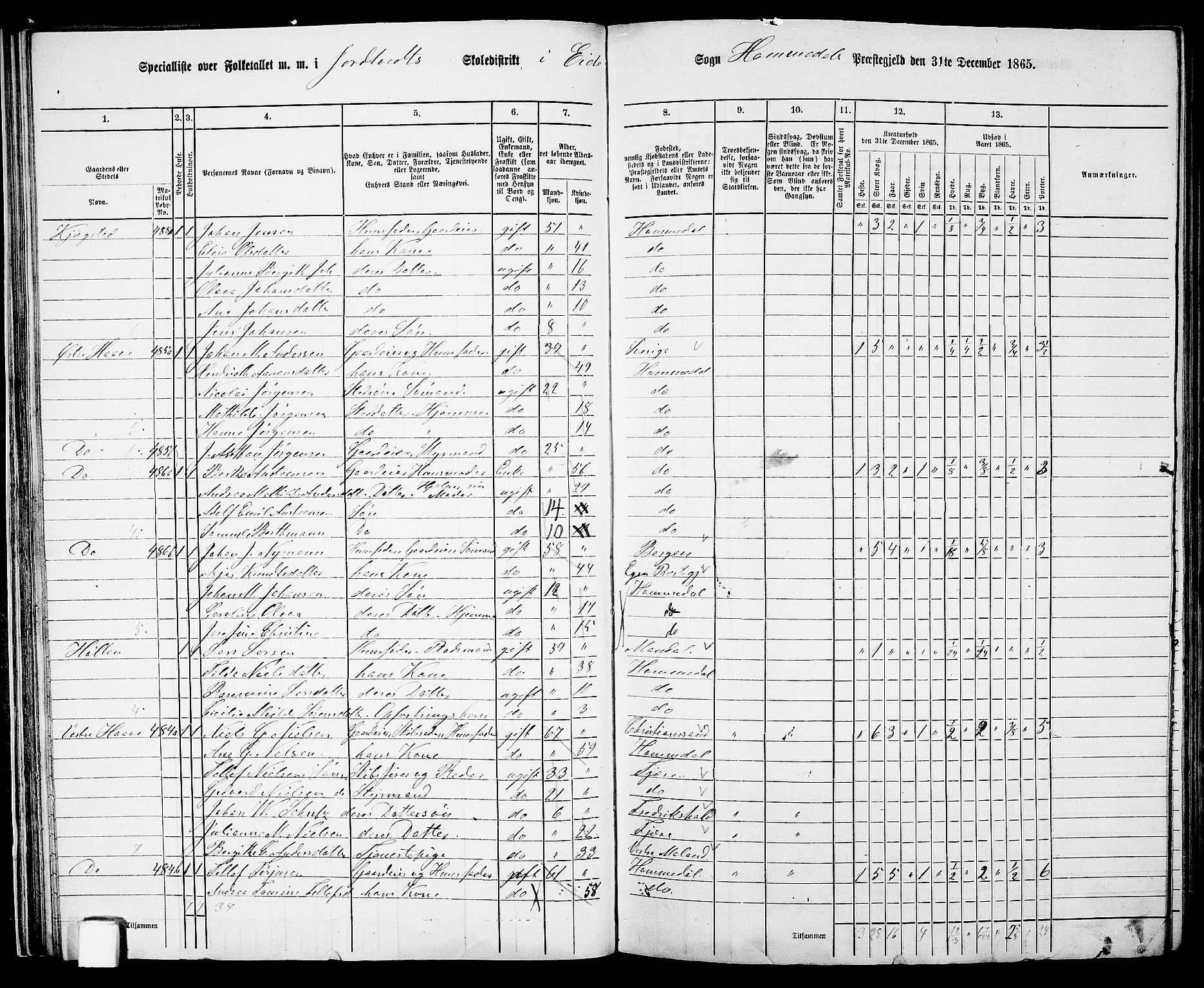 RA, 1865 census for Homedal, 1865, p. 40