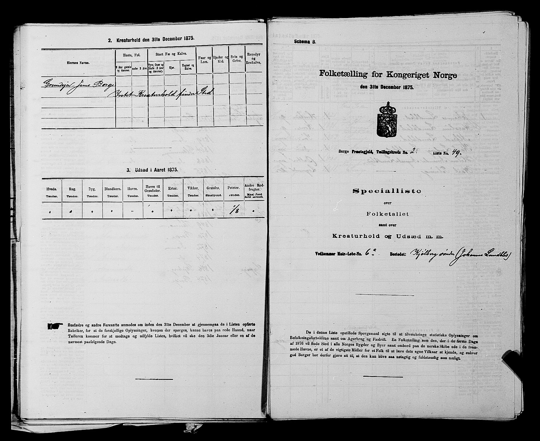 RA, 1875 census for 0113P Borge, 1875, p. 218