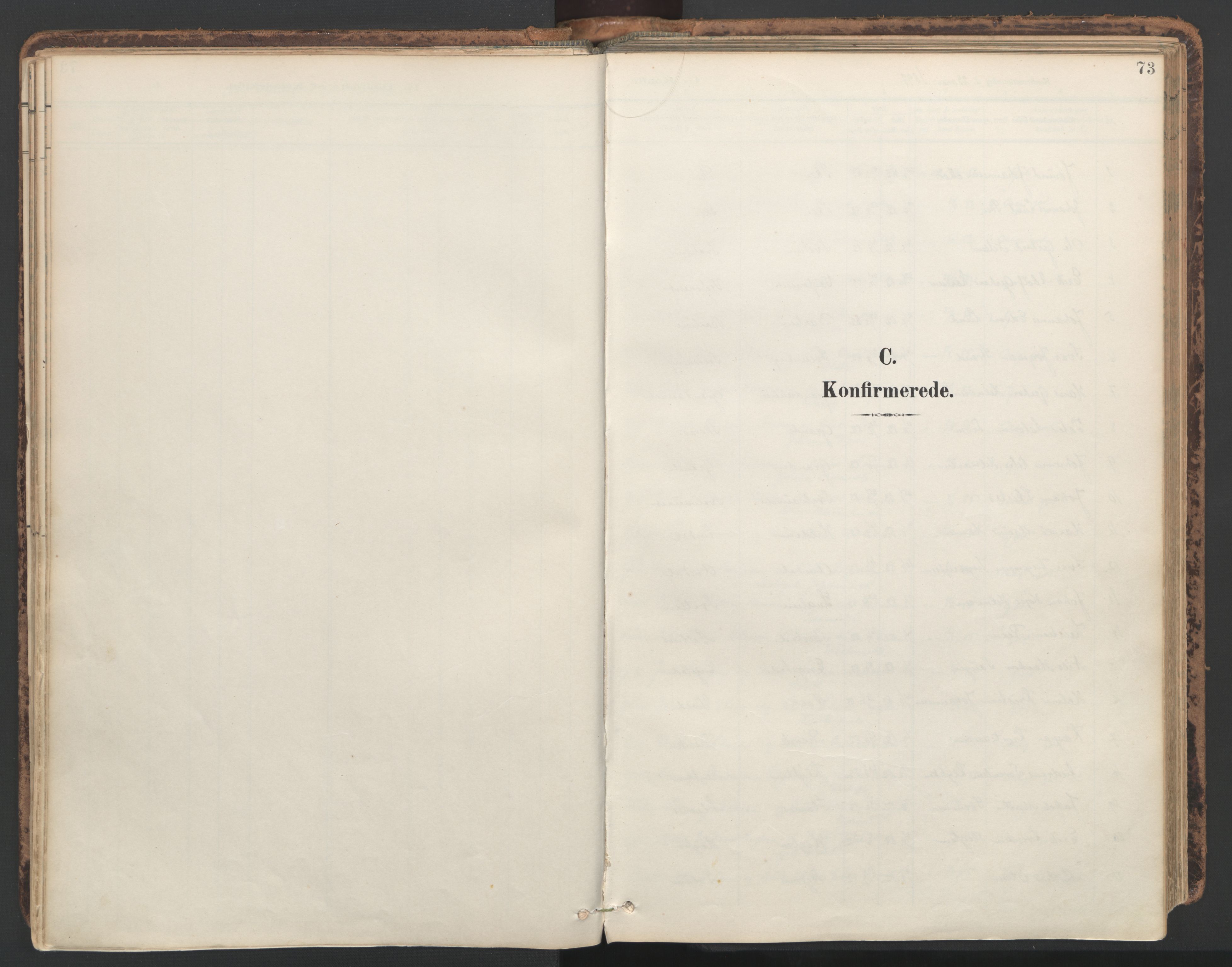 Ministerialprotokoller, klokkerbøker og fødselsregistre - Nord-Trøndelag, SAT/A-1458/764/L0556: Parish register (official) no. 764A11, 1897-1924, p. 73