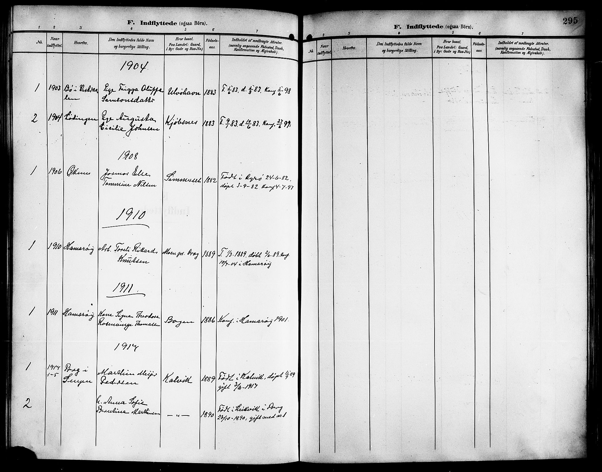 Ministerialprotokoller, klokkerbøker og fødselsregistre - Nordland, AV/SAT-A-1459/861/L0877: Parish register (copy) no. 861C03, 1903-1919, p. 295