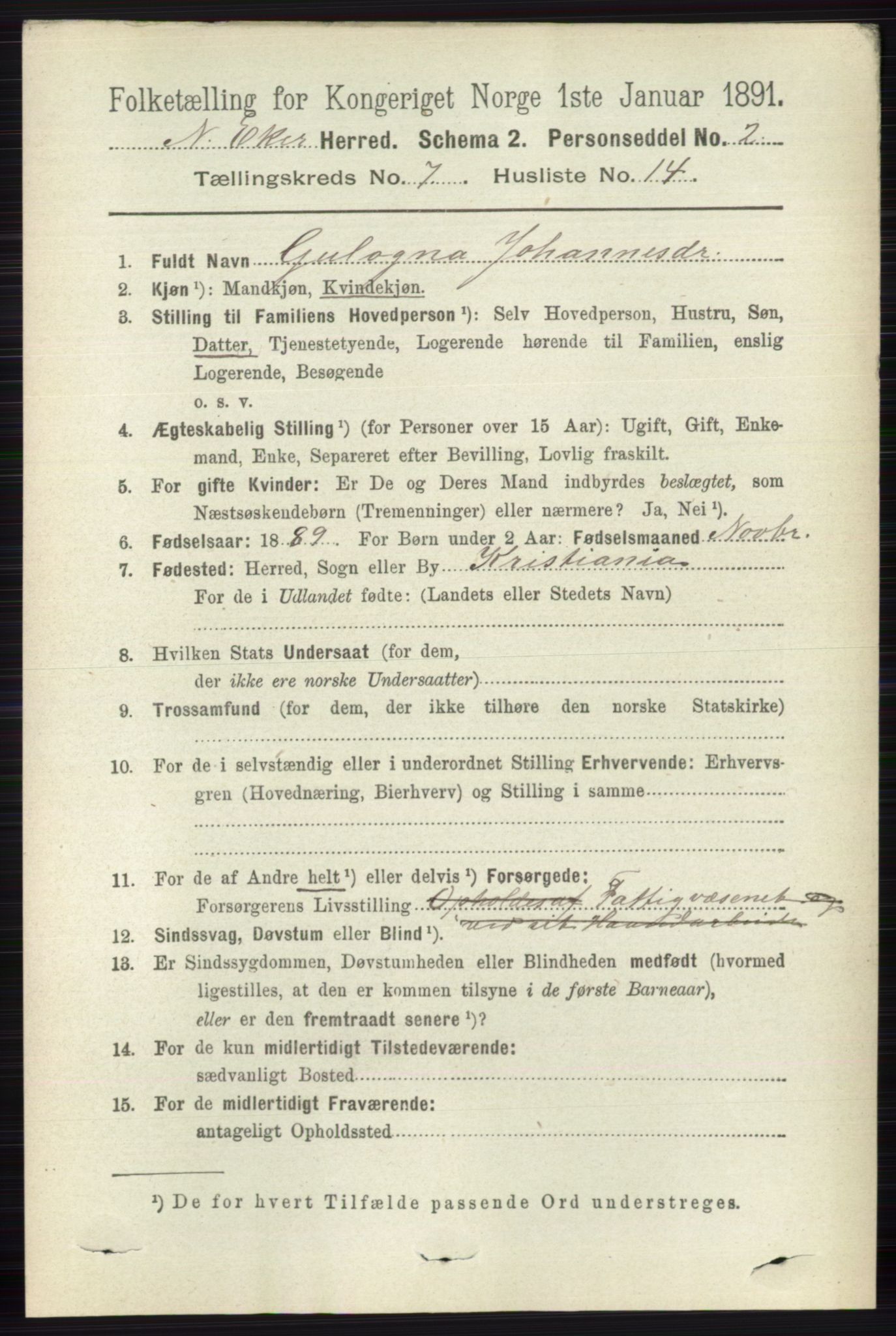 RA, 1891 census for 0625 Nedre Eiker, 1891, p. 3485