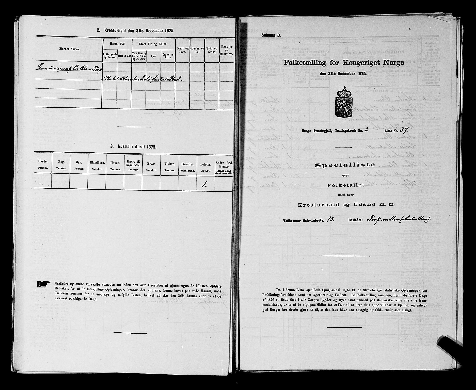 RA, 1875 census for 0113P Borge, 1875, p. 462