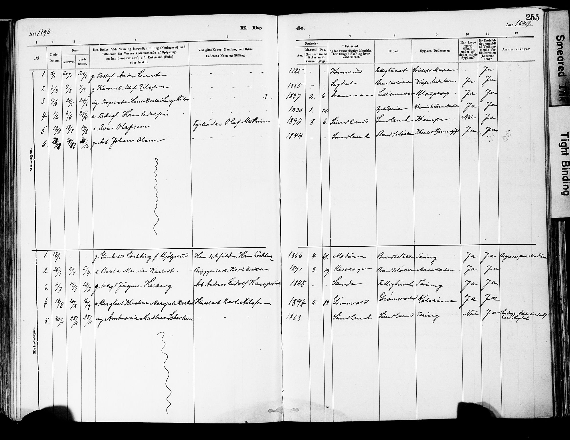 Strømsgodset kirkebøker, AV/SAKO-A-324/F/Fa/L0001: Parish register (official) no. 1, 1885-1909, p. 255