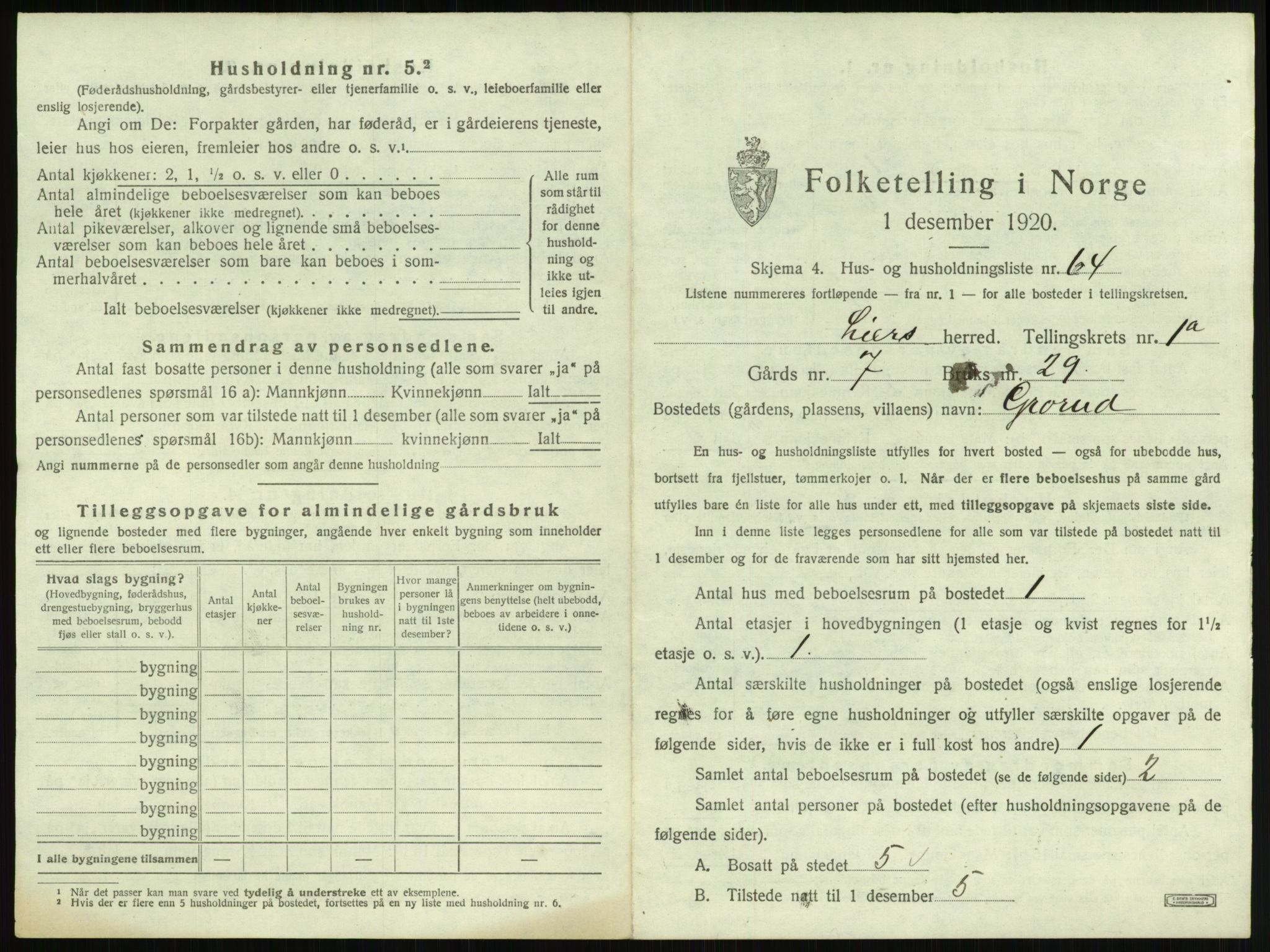 SAKO, 1920 census for Lier, 1920, p. 207