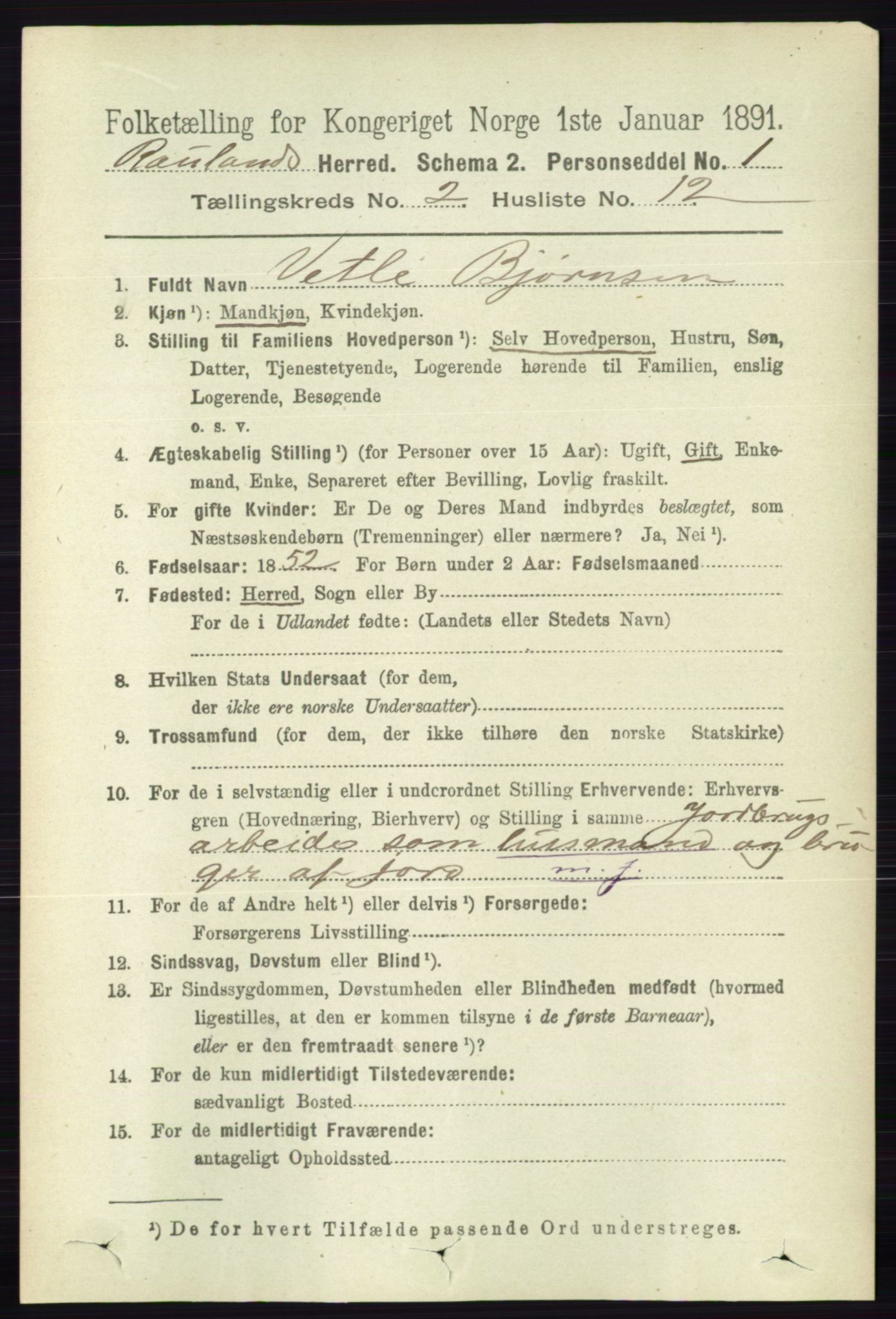 RA, 1891 census for 0835 Rauland, 1891, p. 319