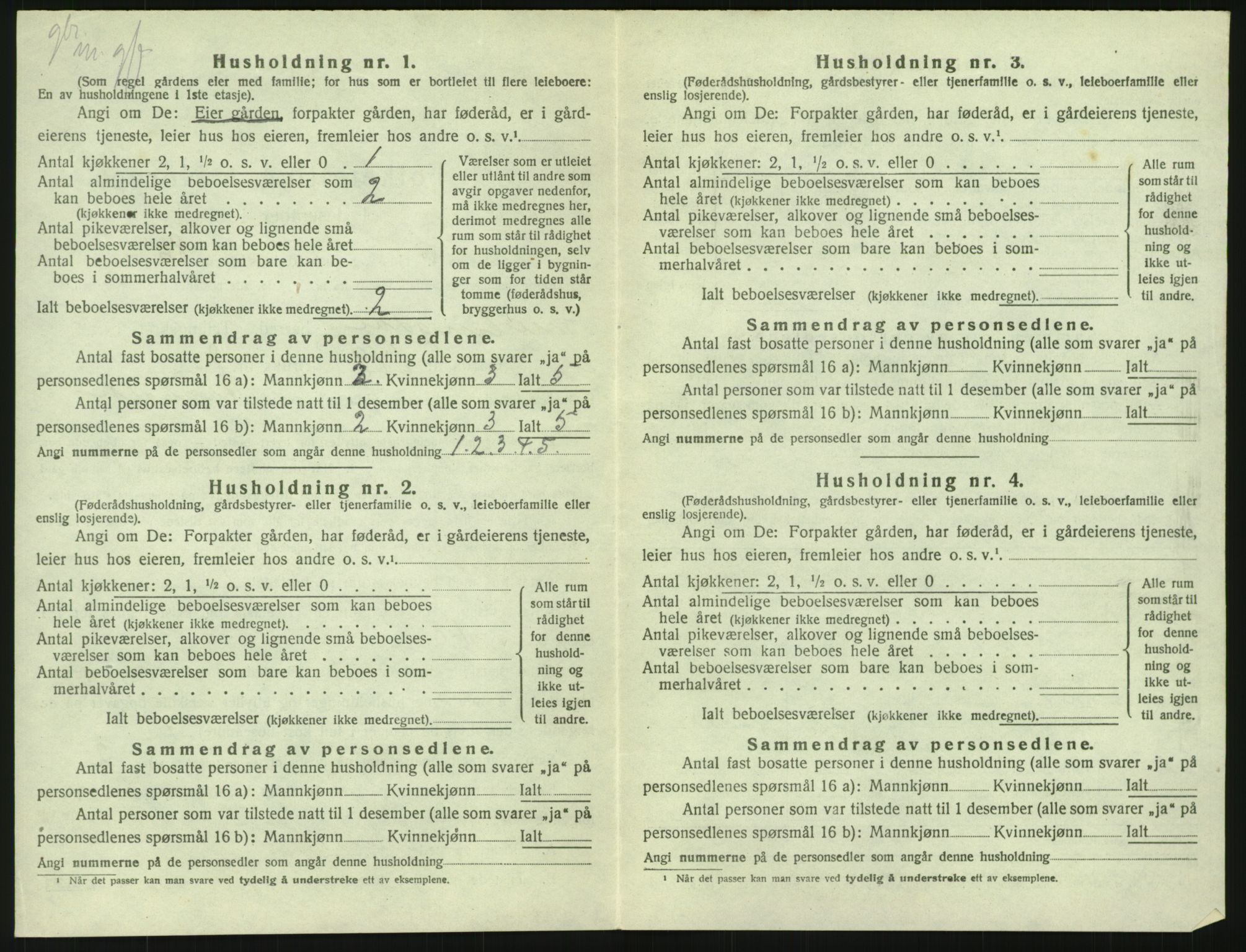 SAH, 1920 census for Snertingdal, 1920, p. 754