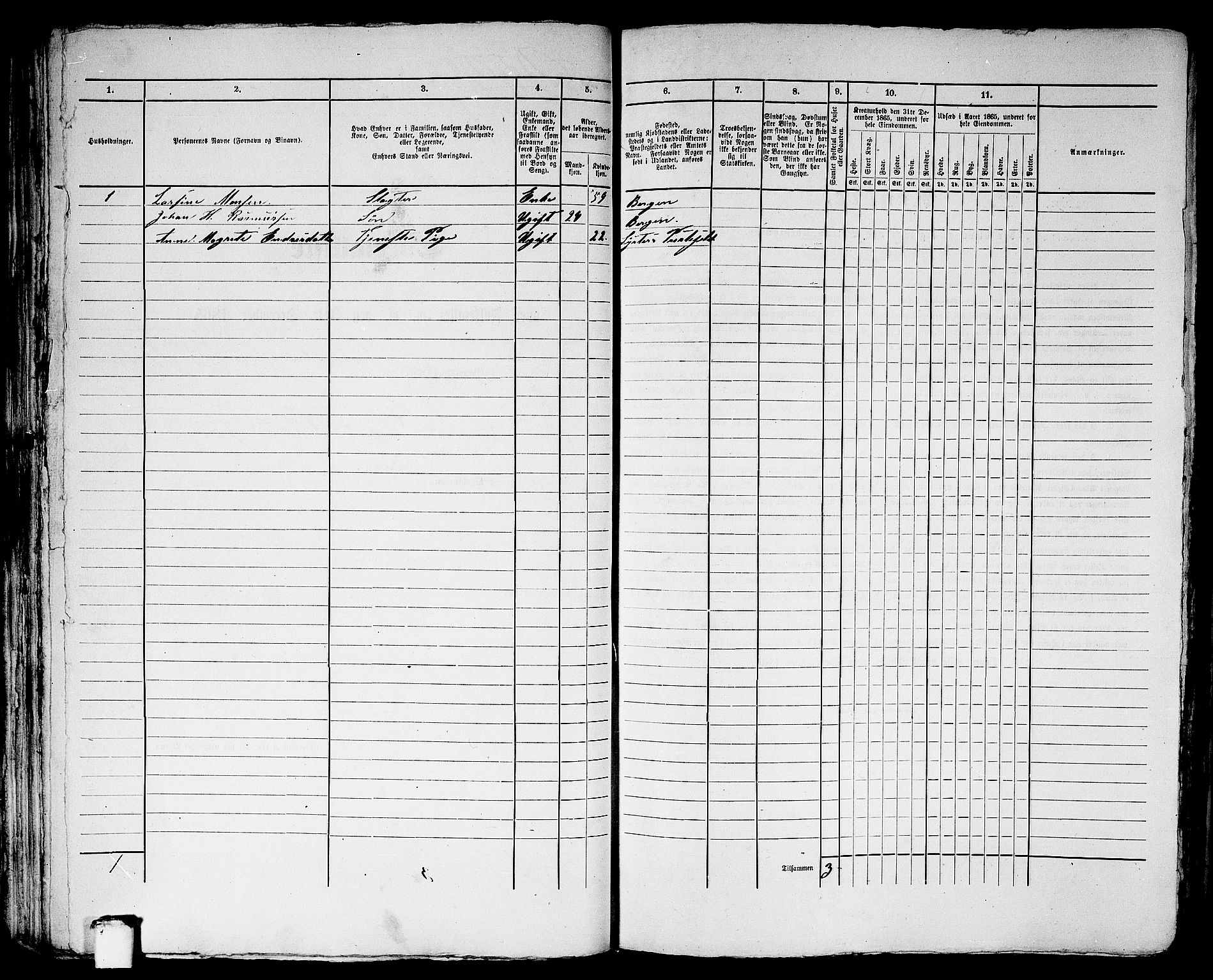 RA, 1865 census for Bergen, 1865, p. 5157