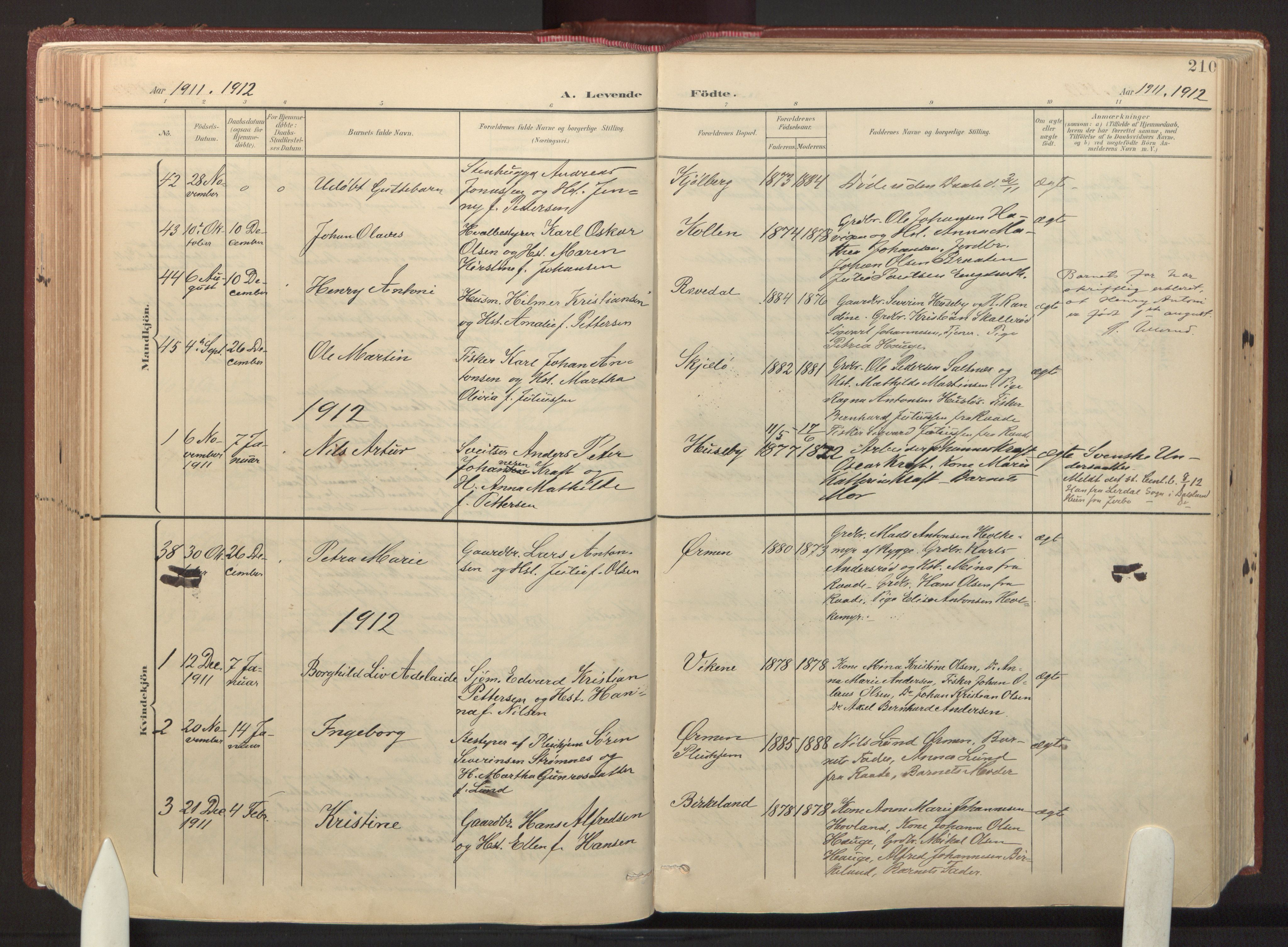Onsøy prestekontor Kirkebøker, SAO/A-10914/F/Fa: Parish register (official) no. I 8, 1899-1923, p. 210