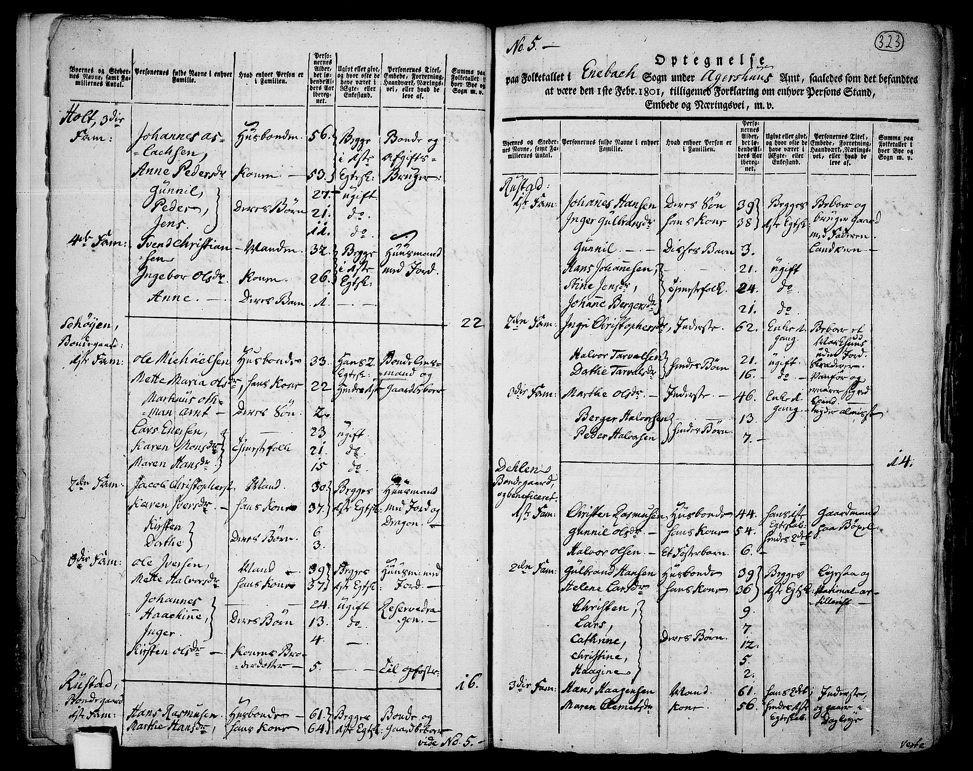 RA, 1801 census for 0229P Enebakk, 1801, p. 322b-323a