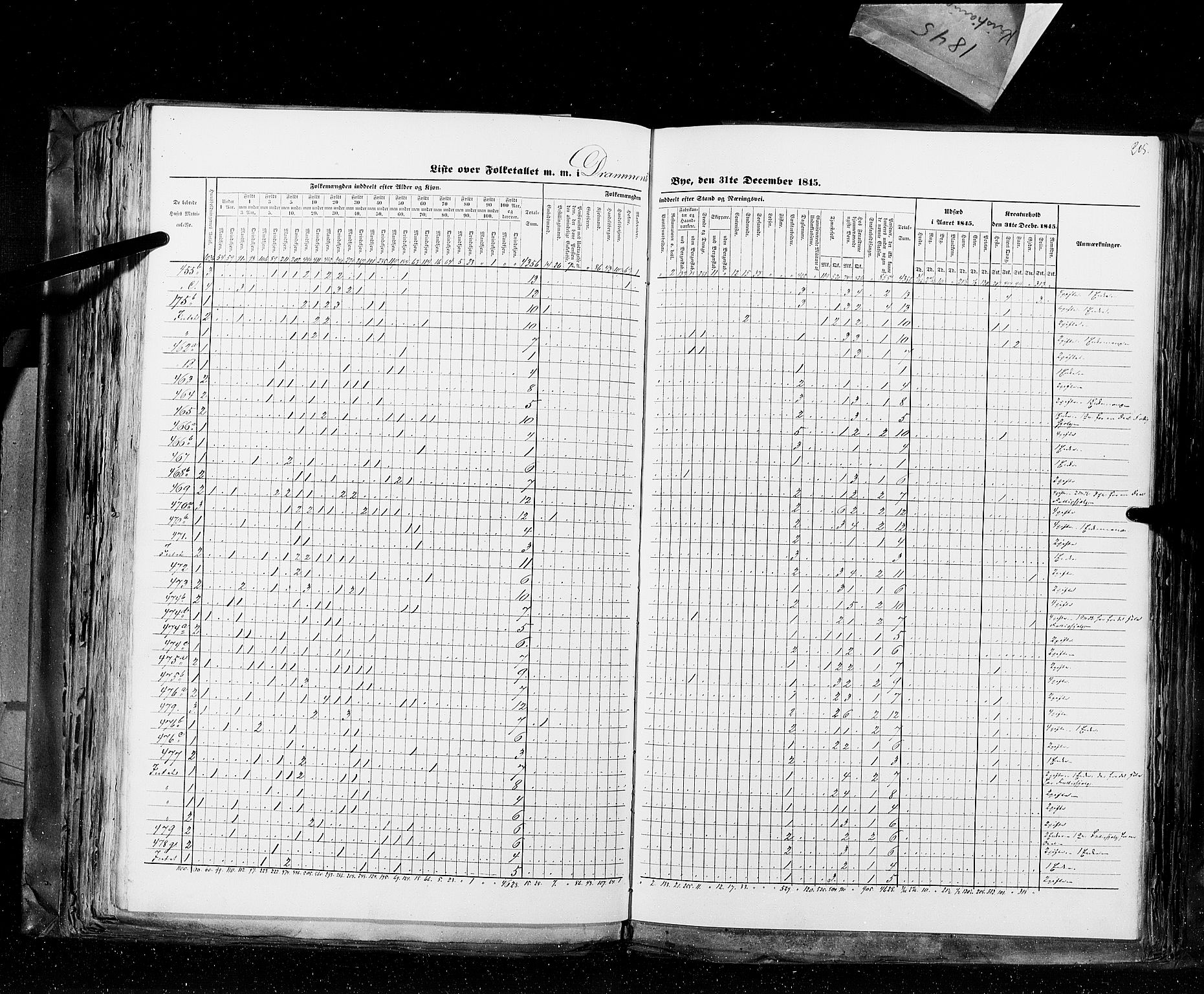 RA, Census 1845, vol. 10: Cities, 1845, p. 205