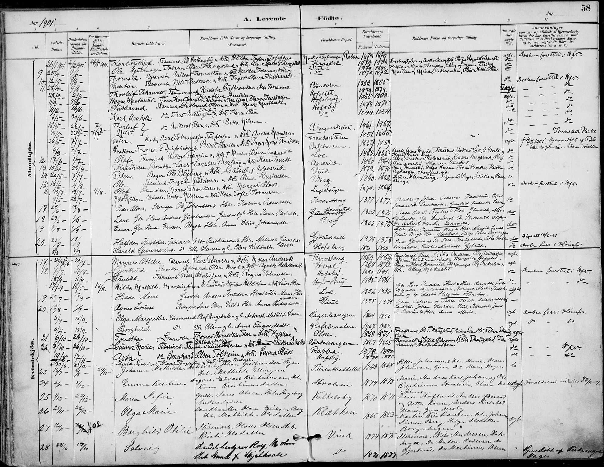 Haug kirkebøker, AV/SAKO-A-604/F/Fa/L0001: Parish register (official) no. 1, 1885-1917, p. 58