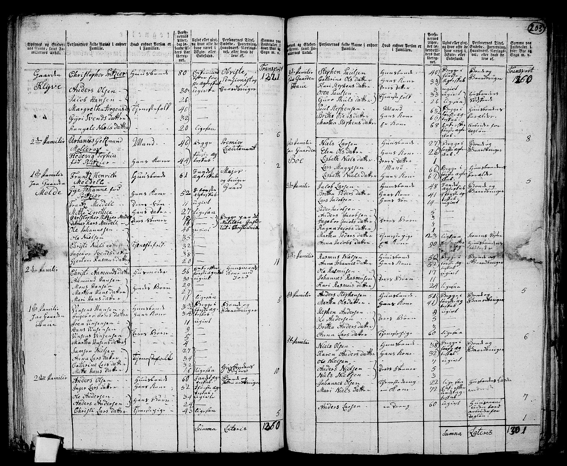 RA, 1801 census for 1243P Os, 1801, p. 202b-203a