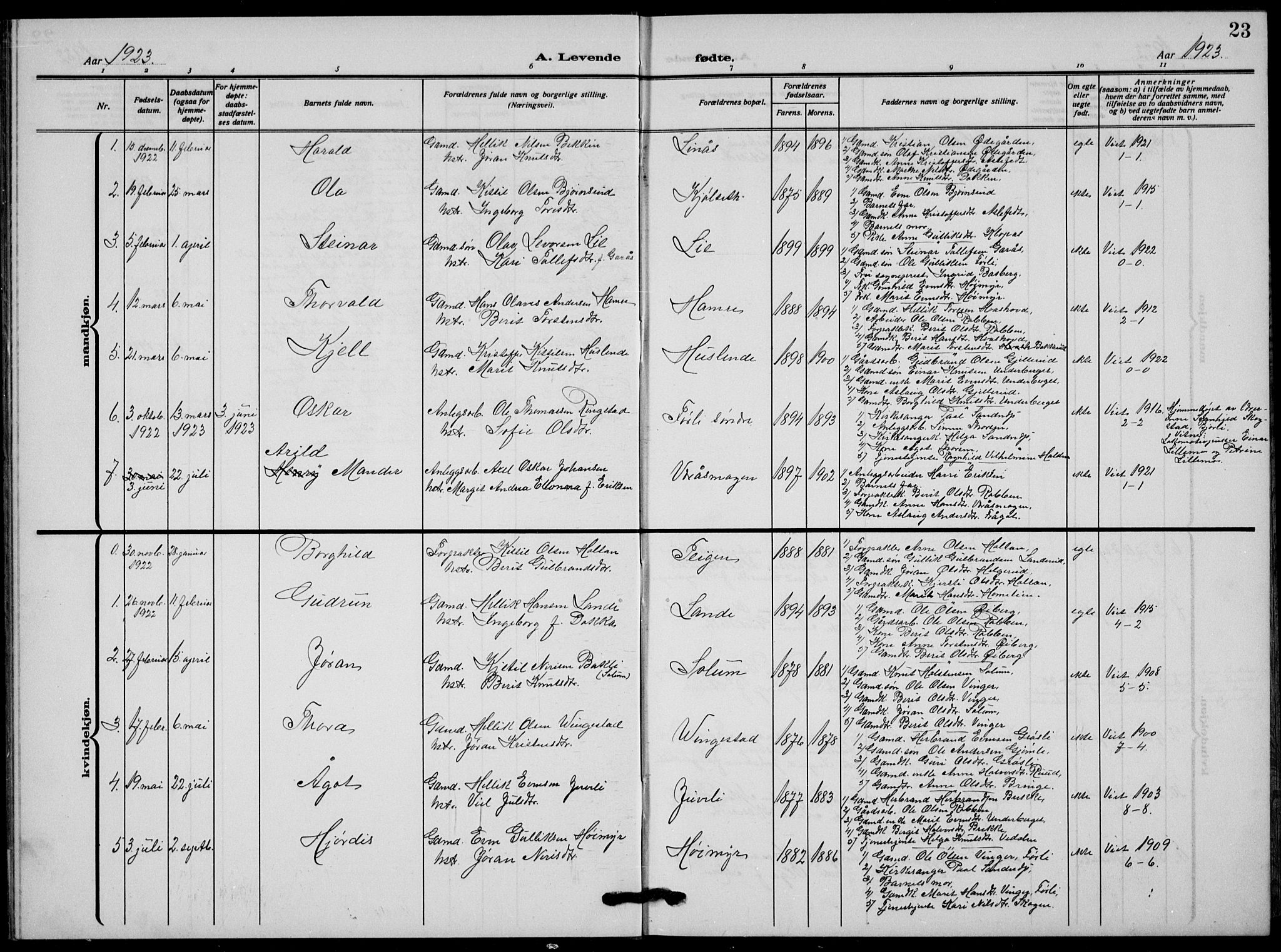 Flesberg kirkebøker, AV/SAKO-A-18/G/Ga/L0006: Parish register (copy) no. I 6, 1909-1924, p. 23