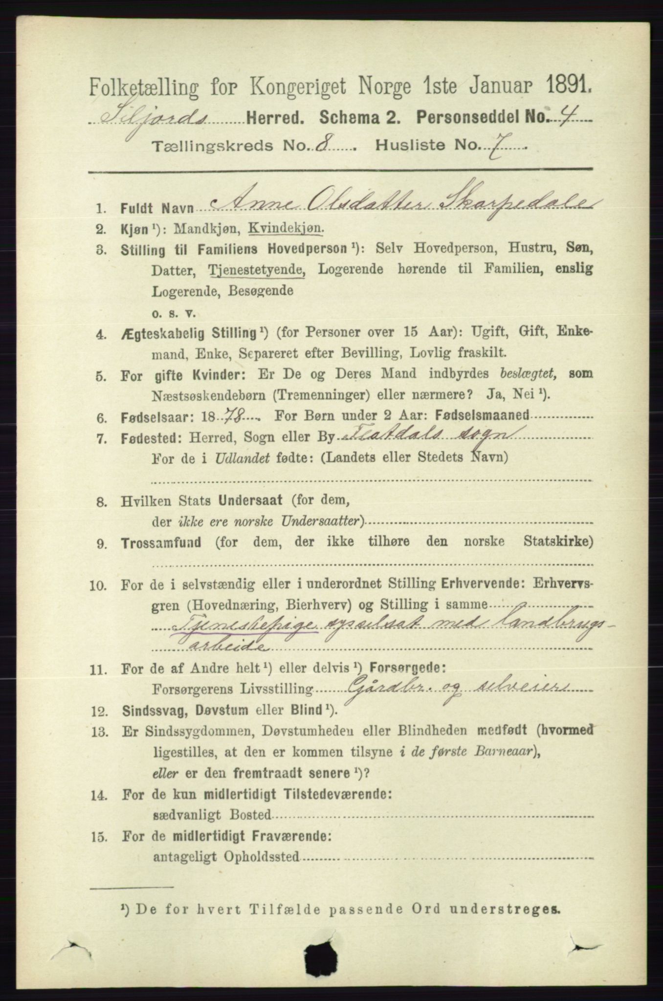 RA, 1891 census for 0828 Seljord, 1891, p. 2911