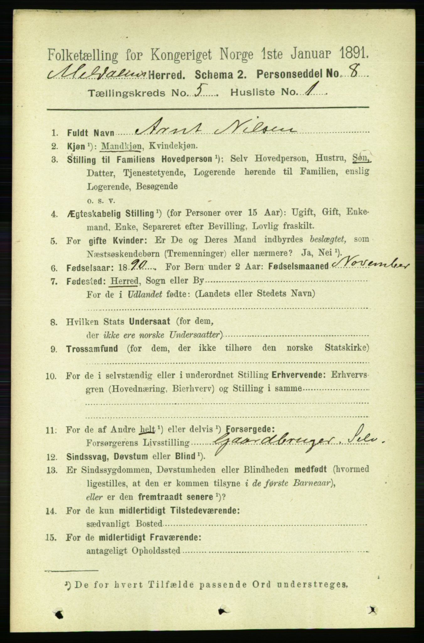 RA, 1891 census for 1636 Meldal, 1891, p. 2522