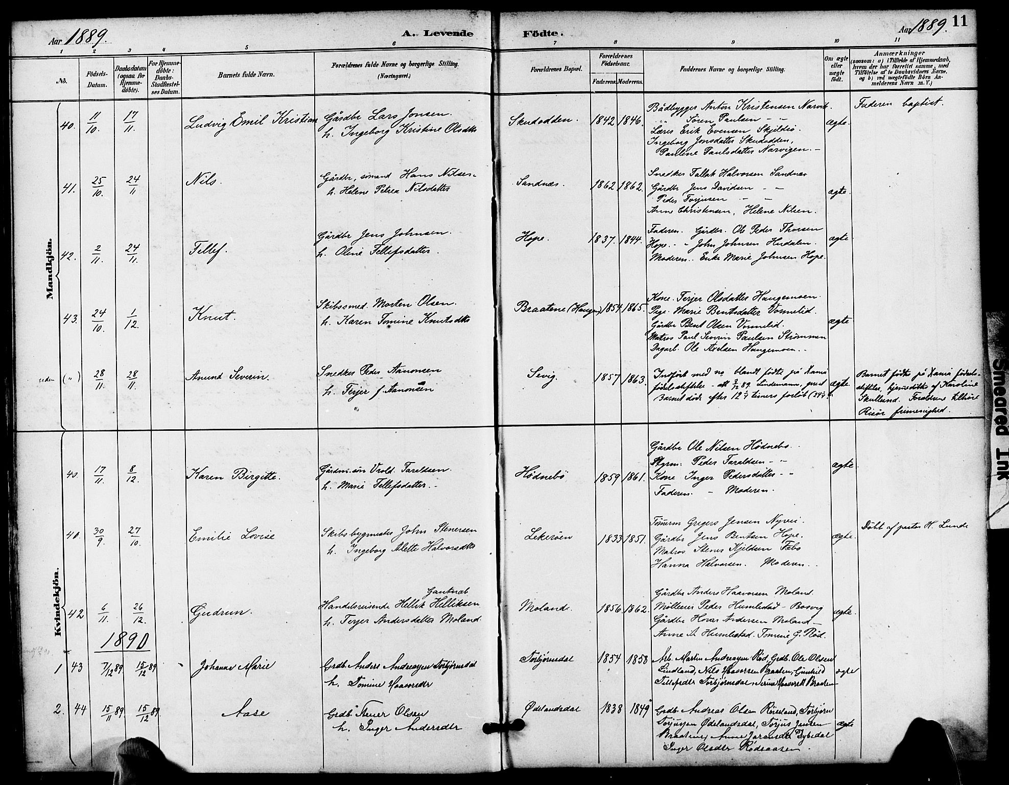 Søndeled sokneprestkontor, SAK/1111-0038/F/Fa/L0005: Parish register (official) no. A 5, 1889-1899, p. 11