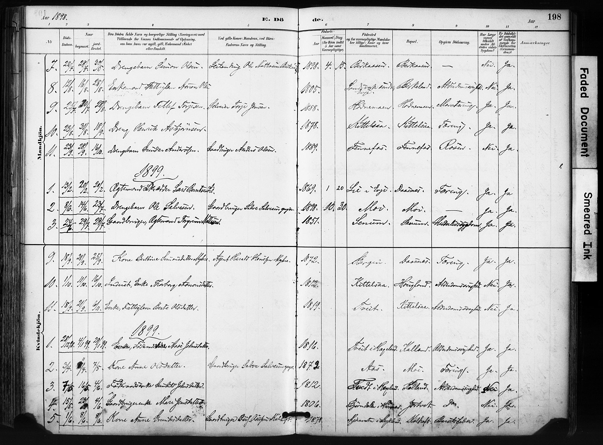 Evje sokneprestkontor, SAK/1111-0008/F/Fa/Fab/L0003: Parish register (official) no. A 3, 1884-1909, p. 198