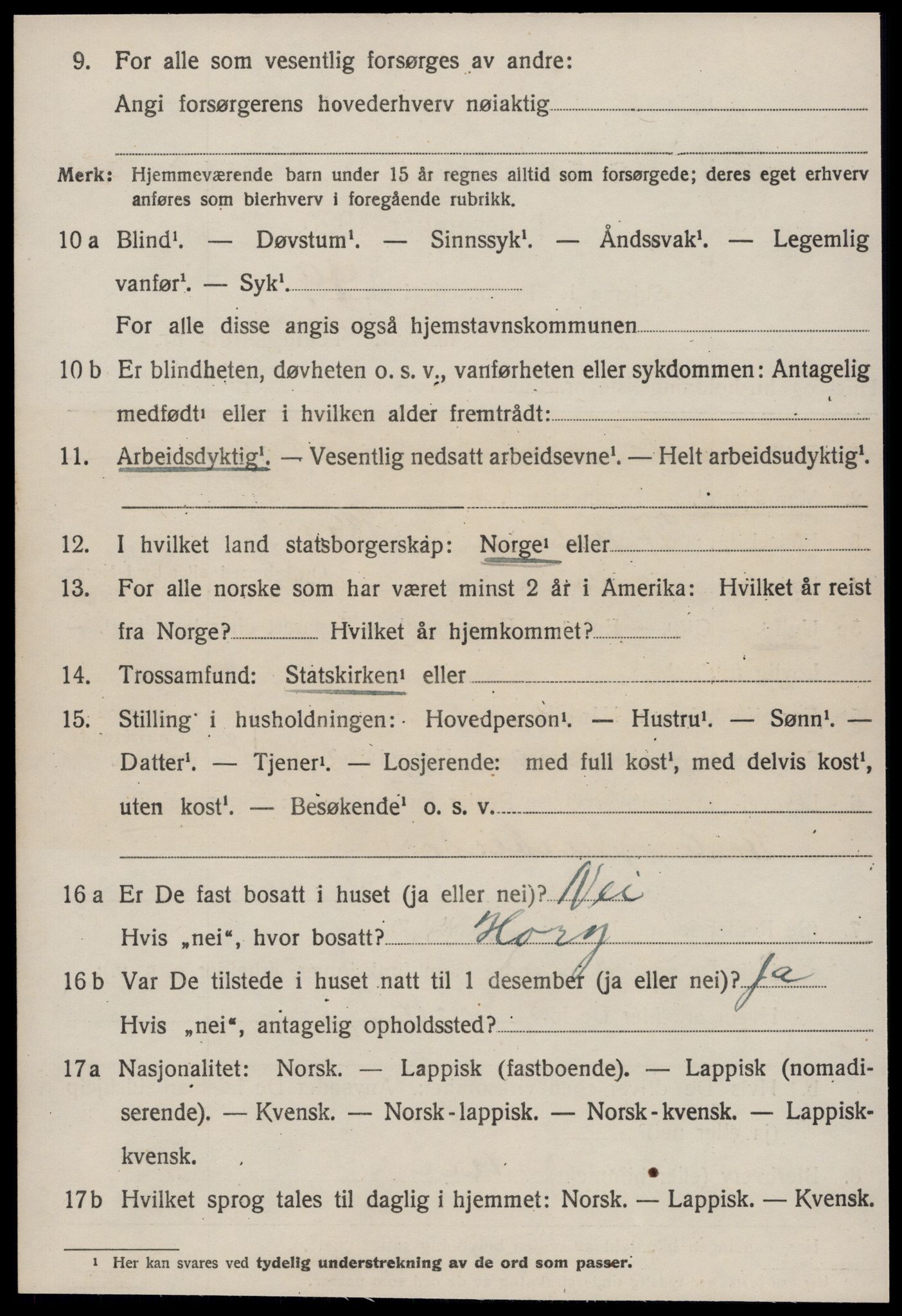 SAT, 1920 census for Horg, 1920, p. 2317