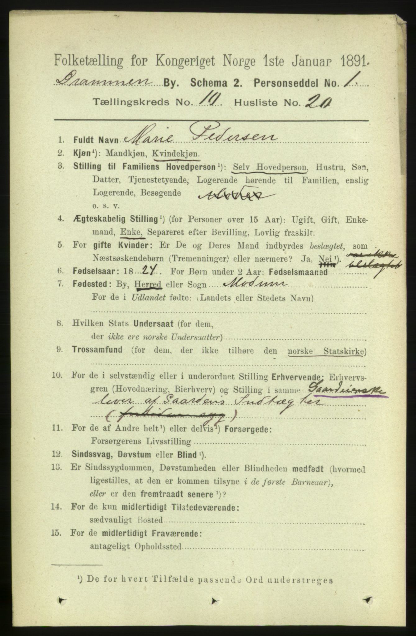 RA, 1891 census for 0602 Drammen, 1891, p. 8192