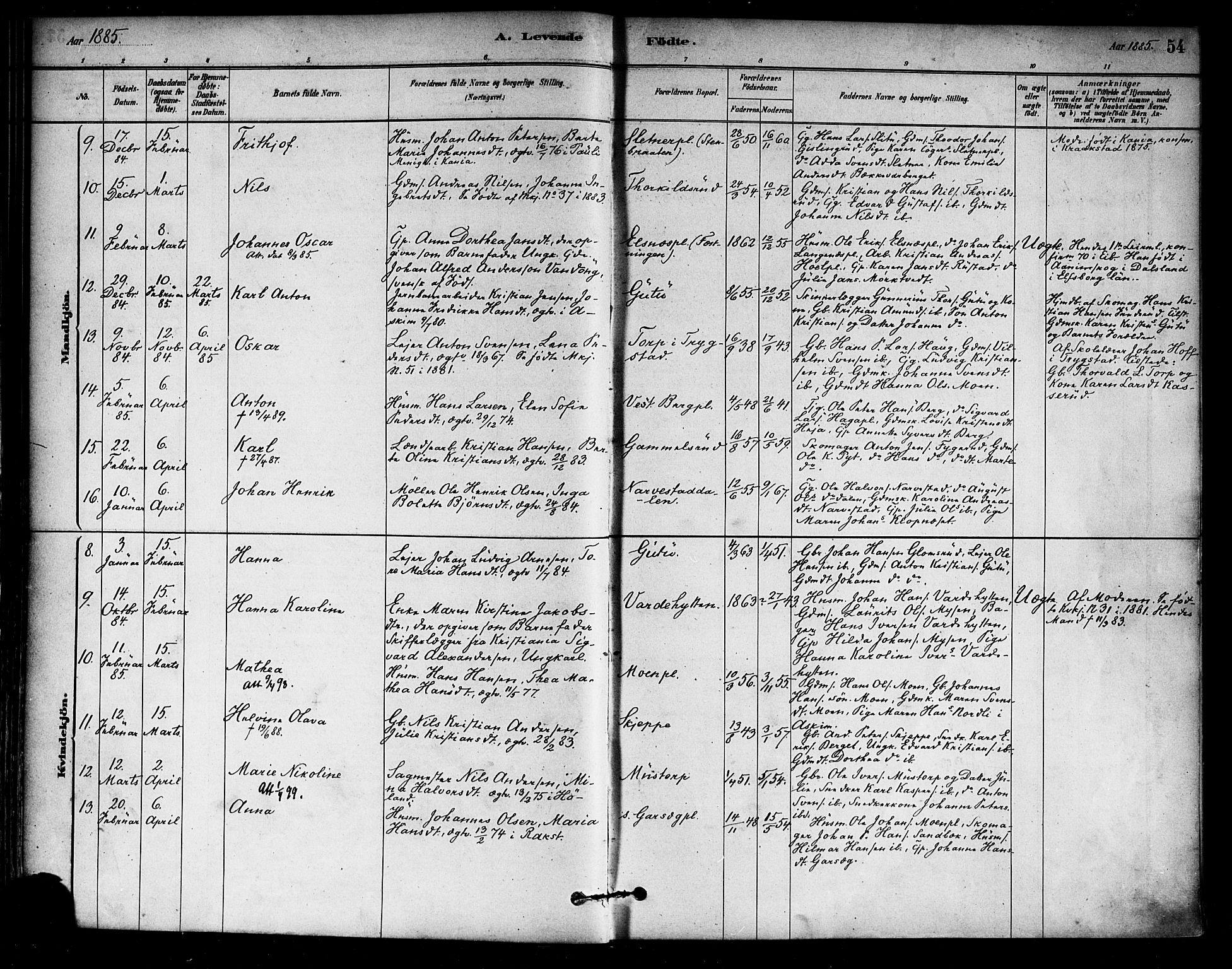 Eidsberg prestekontor Kirkebøker, AV/SAO-A-10905/F/Fa/L0012: Parish register (official) no. I 12, 1879-1901, p. 54