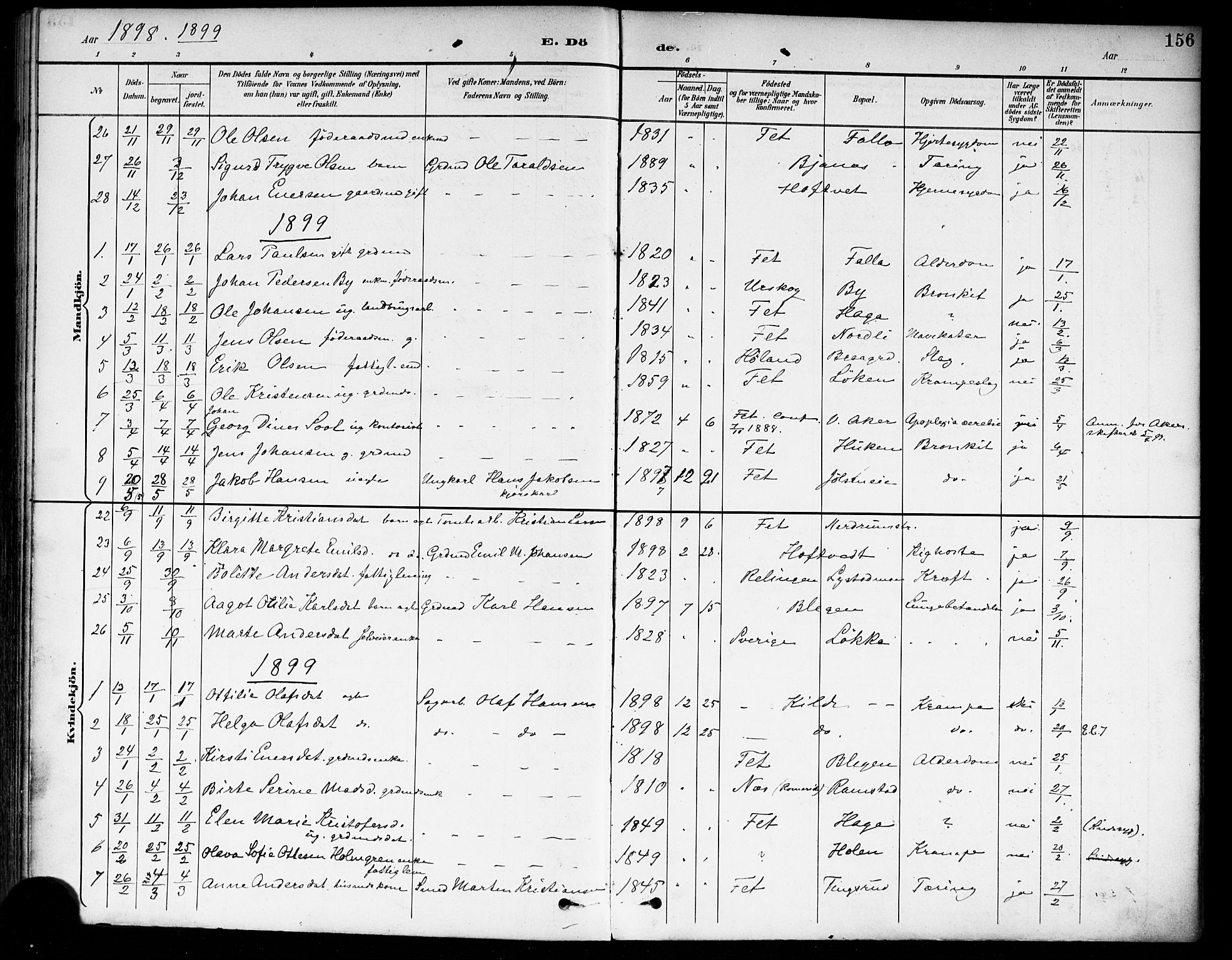 Fet prestekontor Kirkebøker, SAO/A-10370a/F/Fa/L0015: Parish register (official) no. I 15, 1892-1904, p. 156