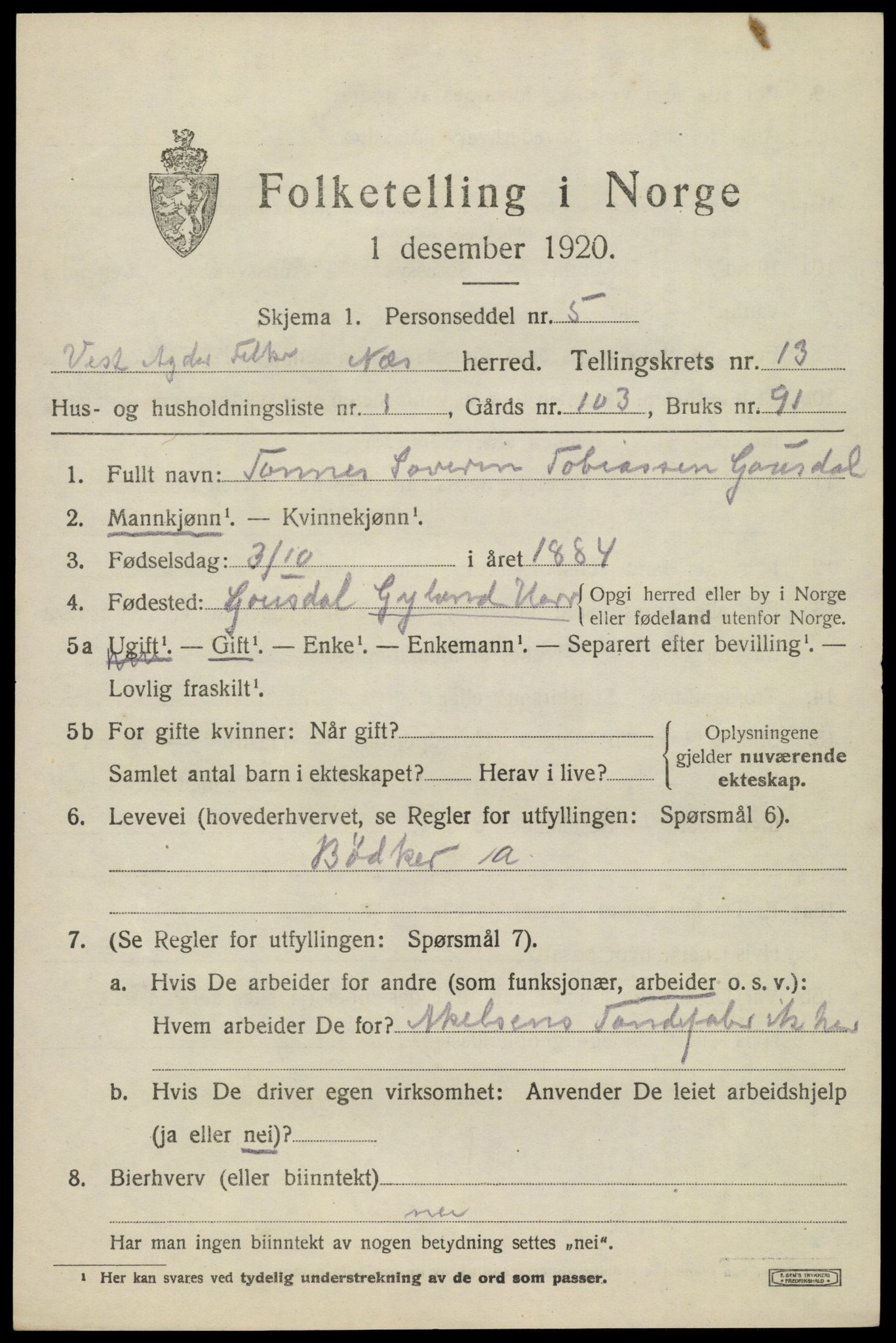 SAK, 1920 census for Nes (V-A), 1920, p. 4842