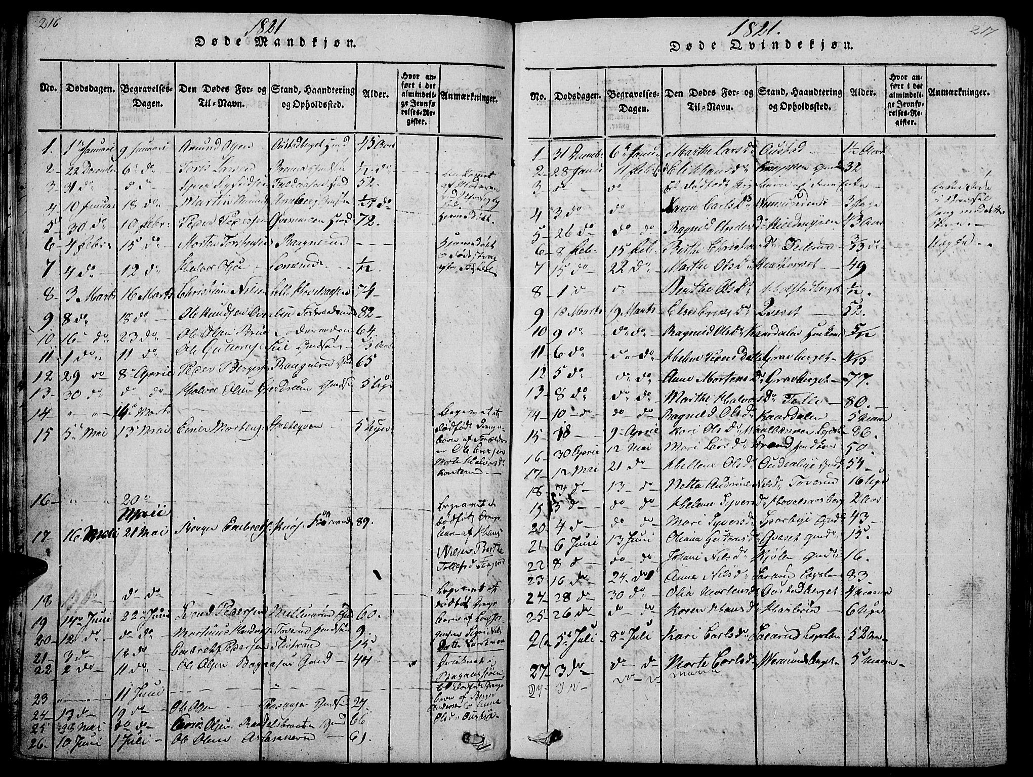 Hof prestekontor, AV/SAH-PREST-038/H/Ha/Haa/L0005: Parish register (official) no. 5, 1816-1822, p. 216-217