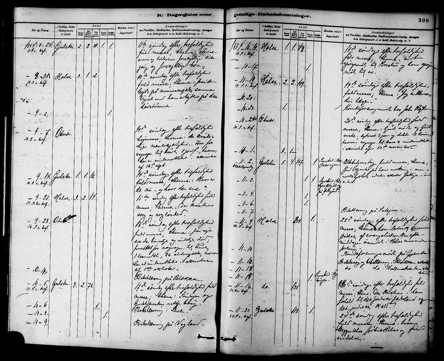 Ministerialprotokoller, klokkerbøker og fødselsregistre - Møre og Romsdal, AV/SAT-A-1454/576/L0885: Parish register (official) no. 576A03, 1880-1898, p. 300