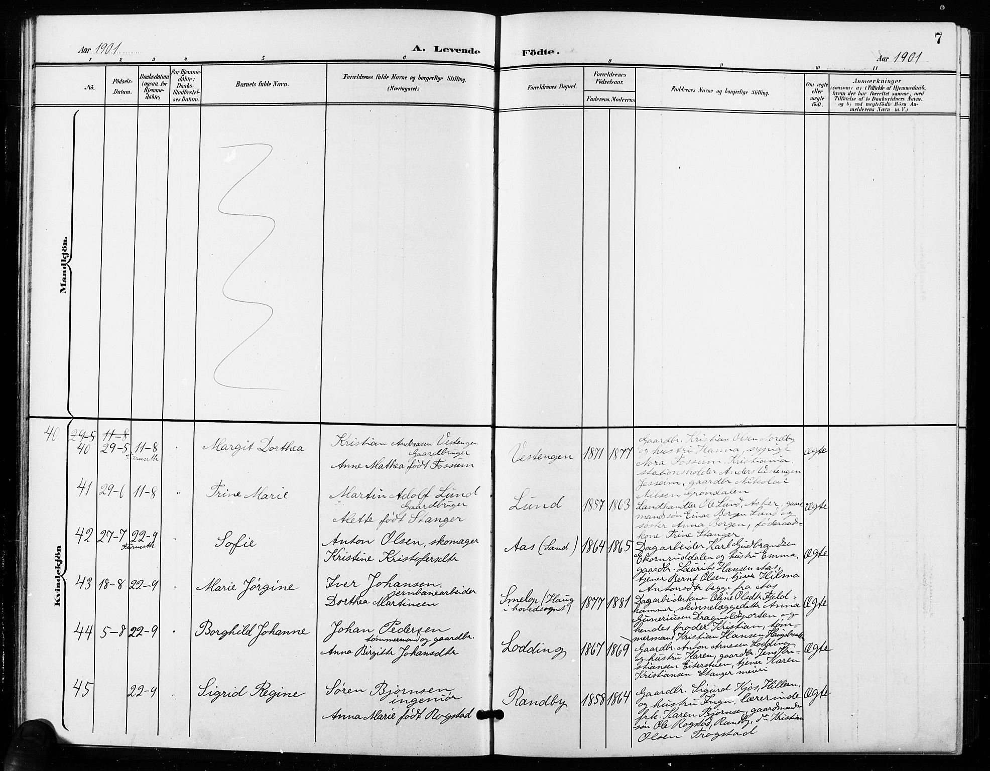 Ullensaker prestekontor Kirkebøker, SAO/A-10236a/G/Ga/L0002: Parish register (copy) no. I 2, 1901-1913, p. 7