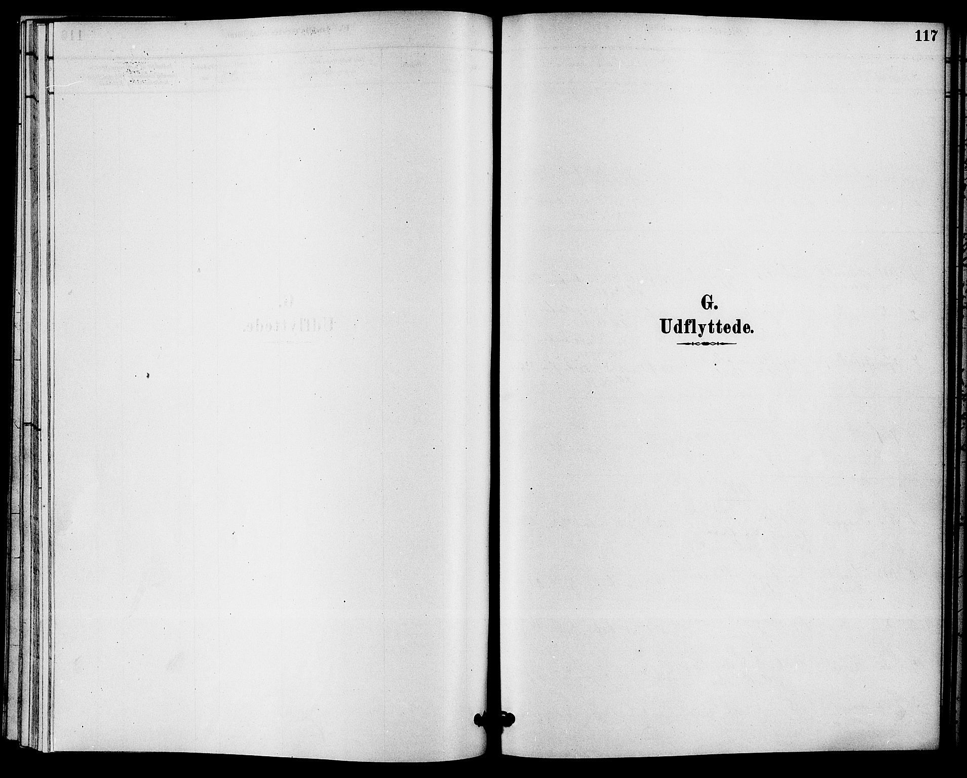 Solum kirkebøker, SAKO/A-306/F/Fc/L0001: Parish register (official) no. III 1, 1877-1891, p. 117