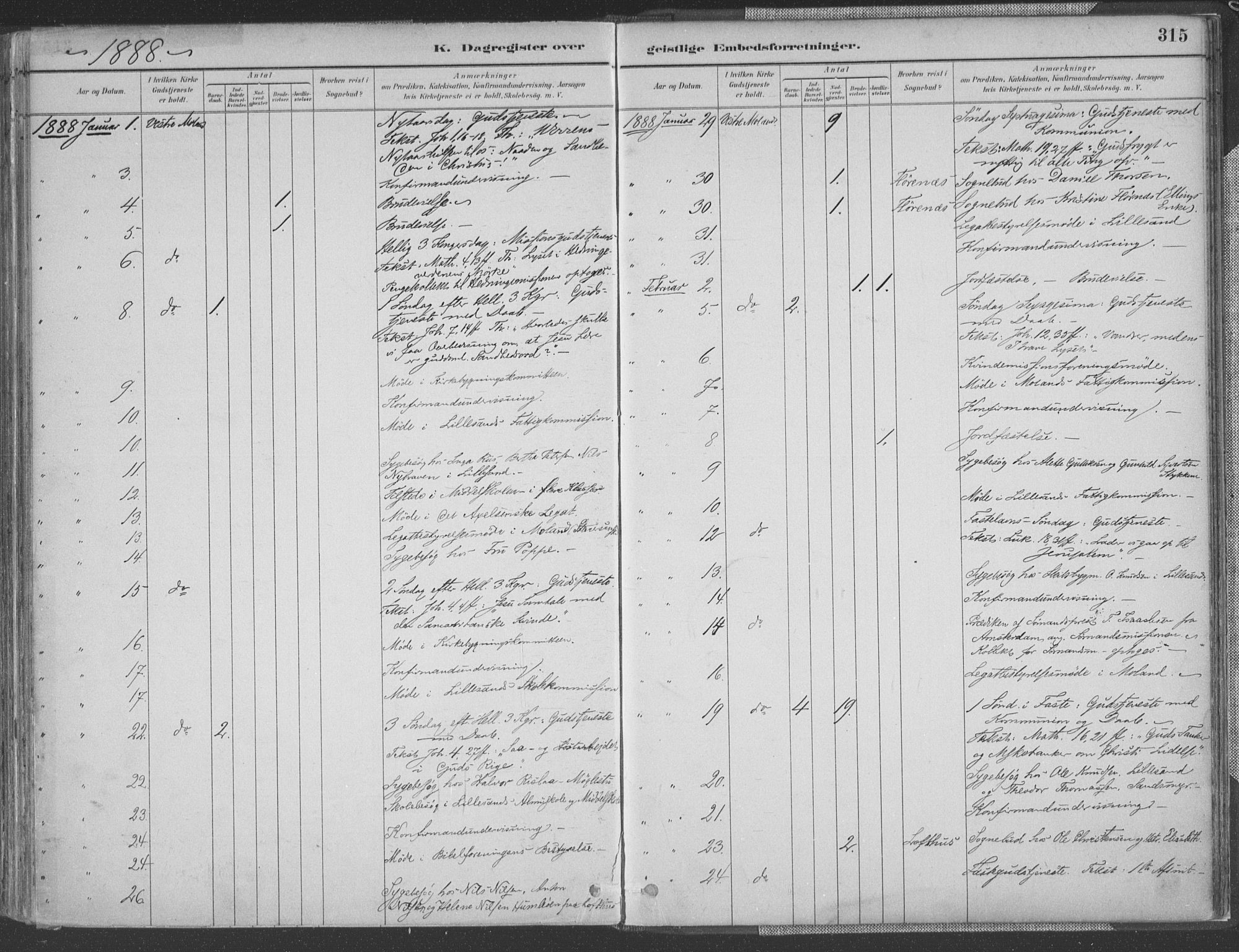 Vestre Moland sokneprestkontor, SAK/1111-0046/F/Fa/Fab/L0009: Parish register (official) no. A 9, 1884-1899, p. 315