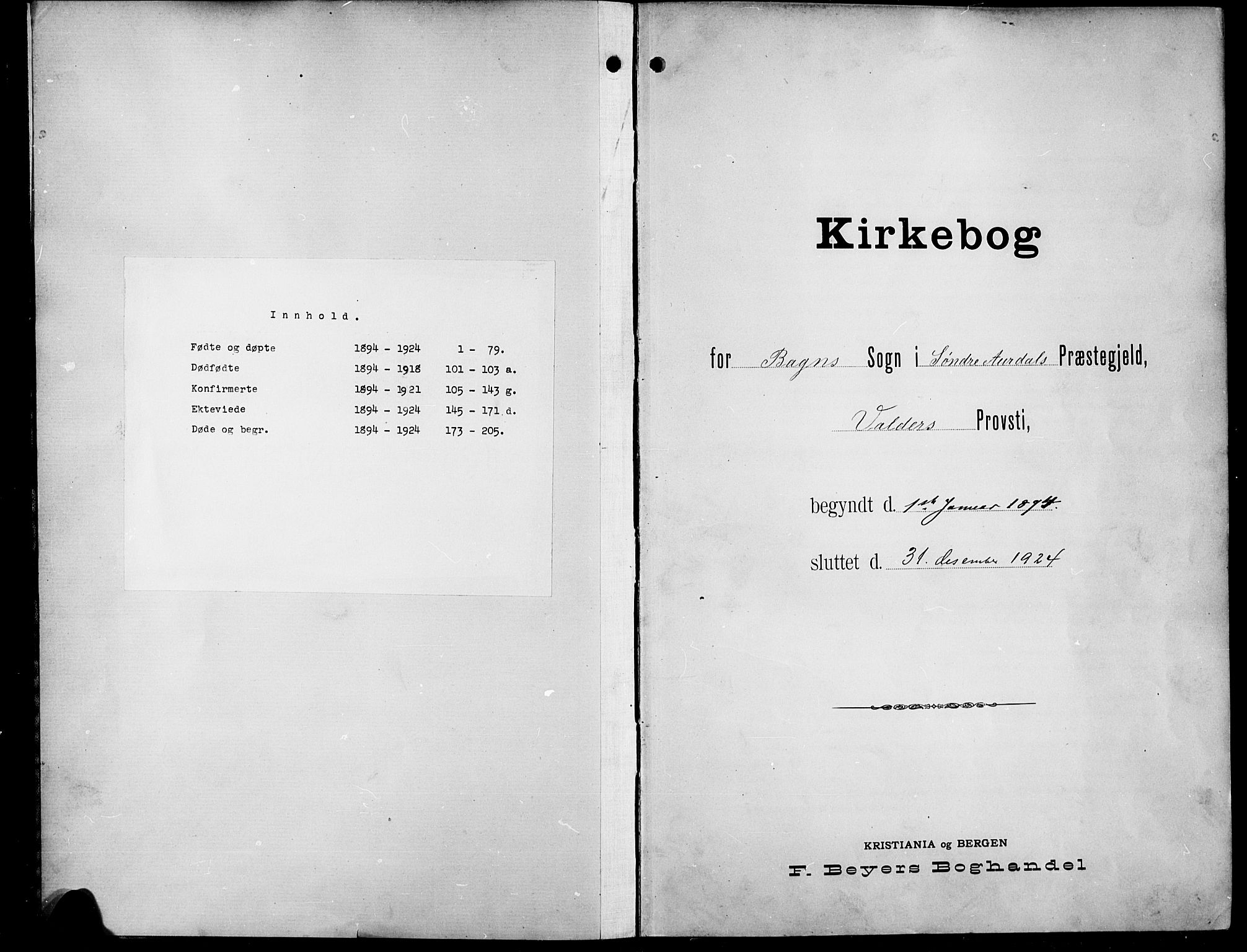 Sør-Aurdal prestekontor, SAH/PREST-128/H/Ha/Hab/L0009: Parish register (copy) no. 9, 1894-1924