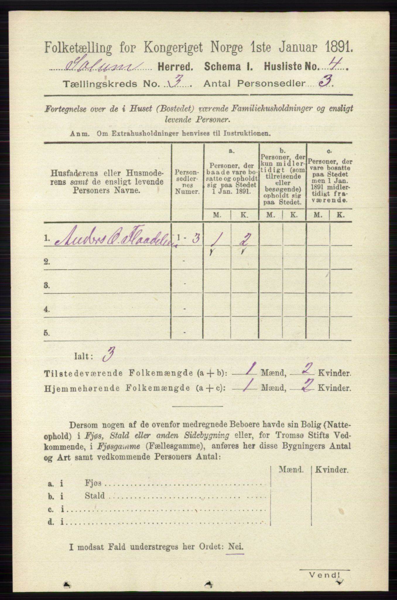 RA, 1891 census for 0818 Solum, 1891, p. 305