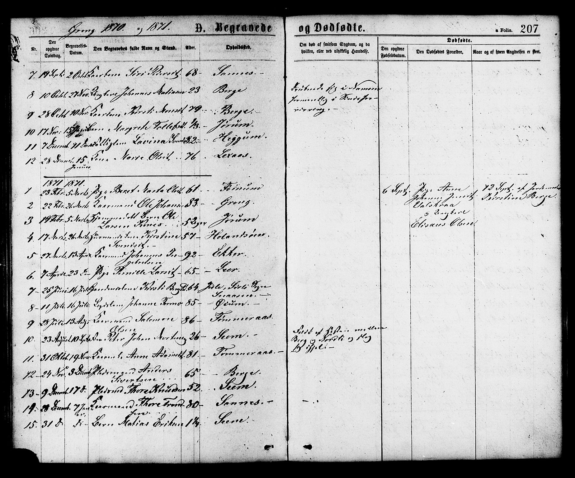 Ministerialprotokoller, klokkerbøker og fødselsregistre - Nord-Trøndelag, AV/SAT-A-1458/758/L0516: Parish register (official) no. 758A03 /1, 1869-1879, p. 207