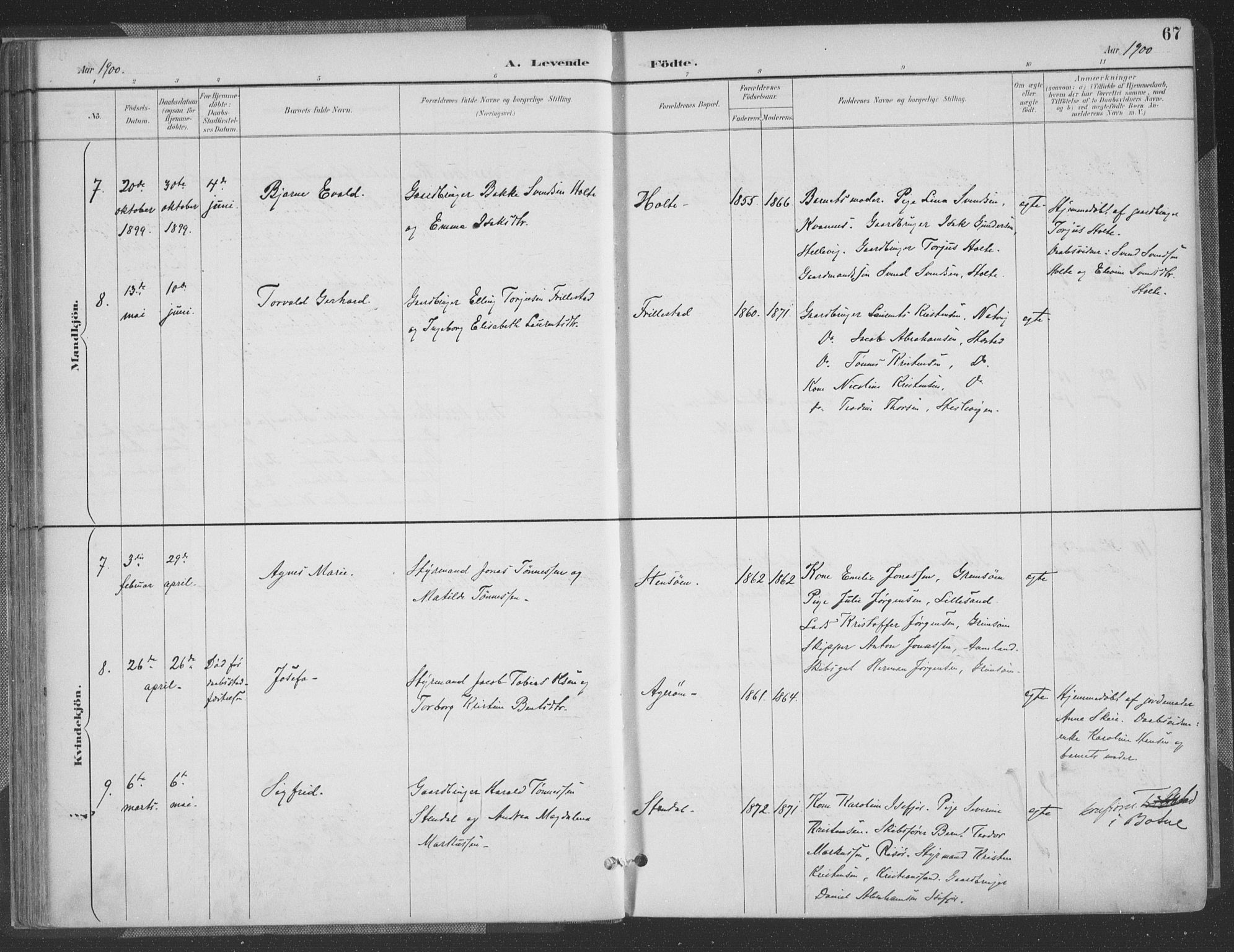 Høvåg sokneprestkontor, SAK/1111-0025/F/Fa/L0006: Parish register (official) no. A 6, 1894-1923, p. 67