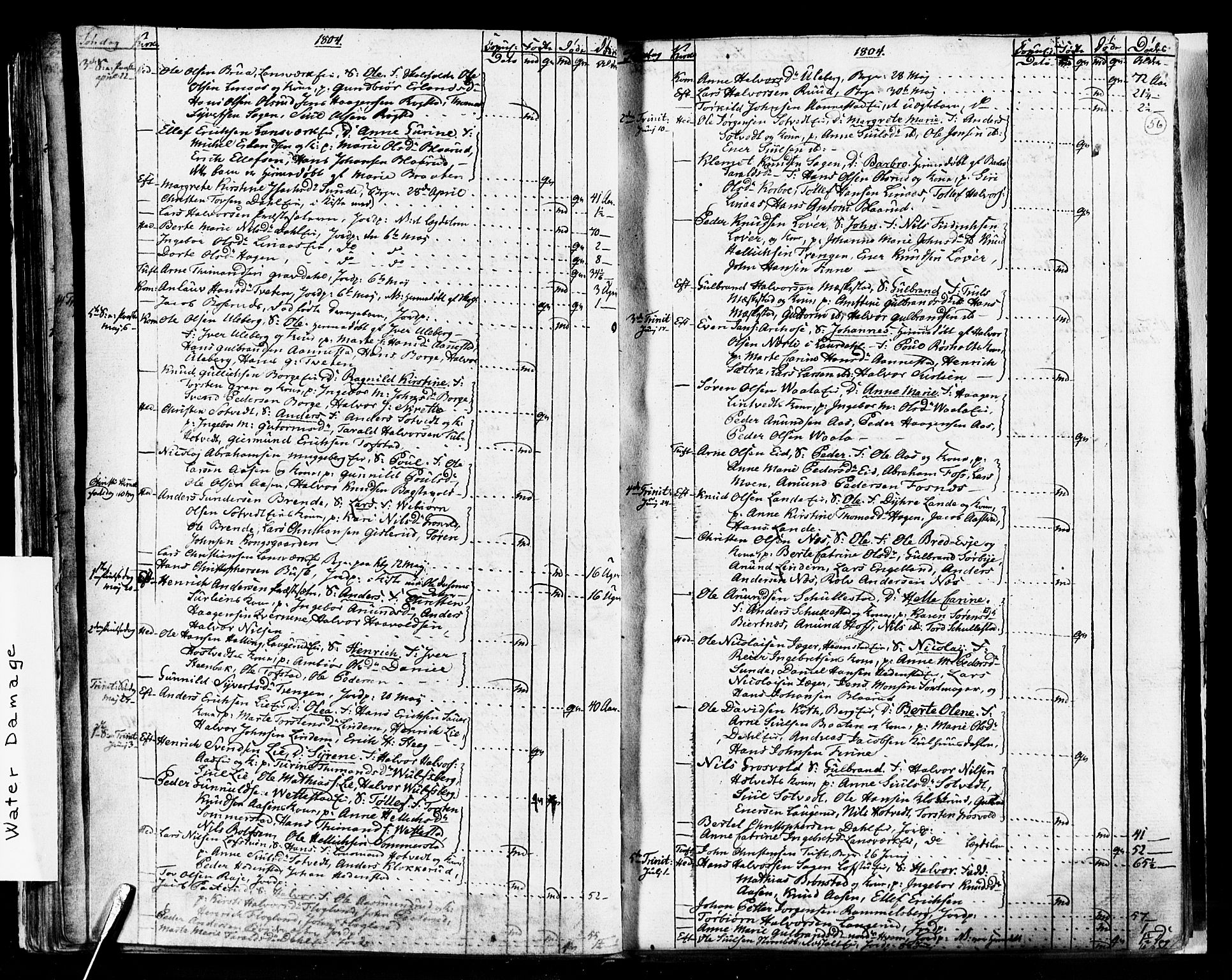 Sandsvær kirkebøker, AV/SAKO-A-244/G/Ga/L0002: Parish register (copy) no. I 2, 1796-1817, p. 56