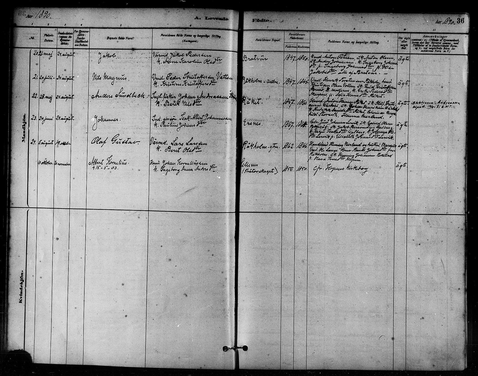 Ministerialprotokoller, klokkerbøker og fødselsregistre - Møre og Romsdal, AV/SAT-A-1454/582/L0947: Parish register (official) no. 582A01, 1880-1900, p. 36