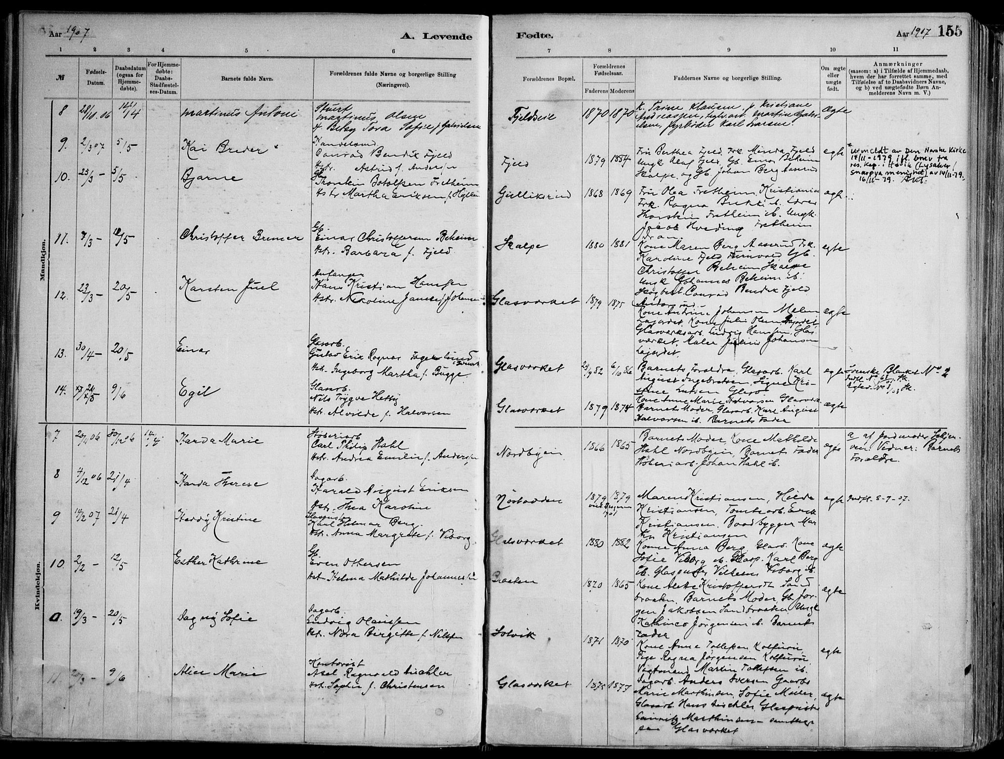 Skoger kirkebøker, AV/SAKO-A-59/F/Fa/L0006: Parish register (official) no. I 6, 1885-1910, p. 155