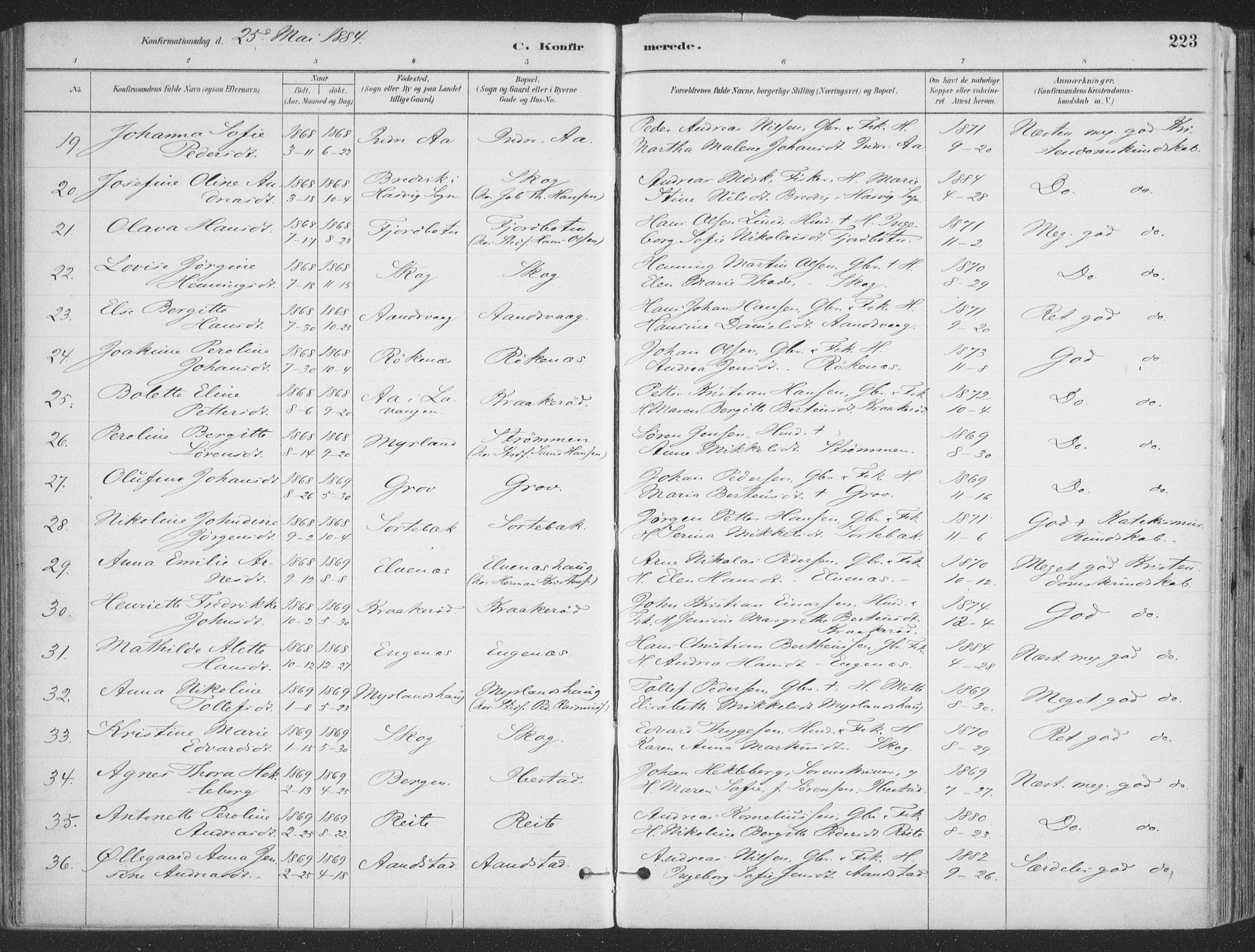 Ibestad sokneprestembete, SATØ/S-0077/H/Ha/Haa/L0011kirke: Parish register (official) no. 11, 1880-1889, p. 223
