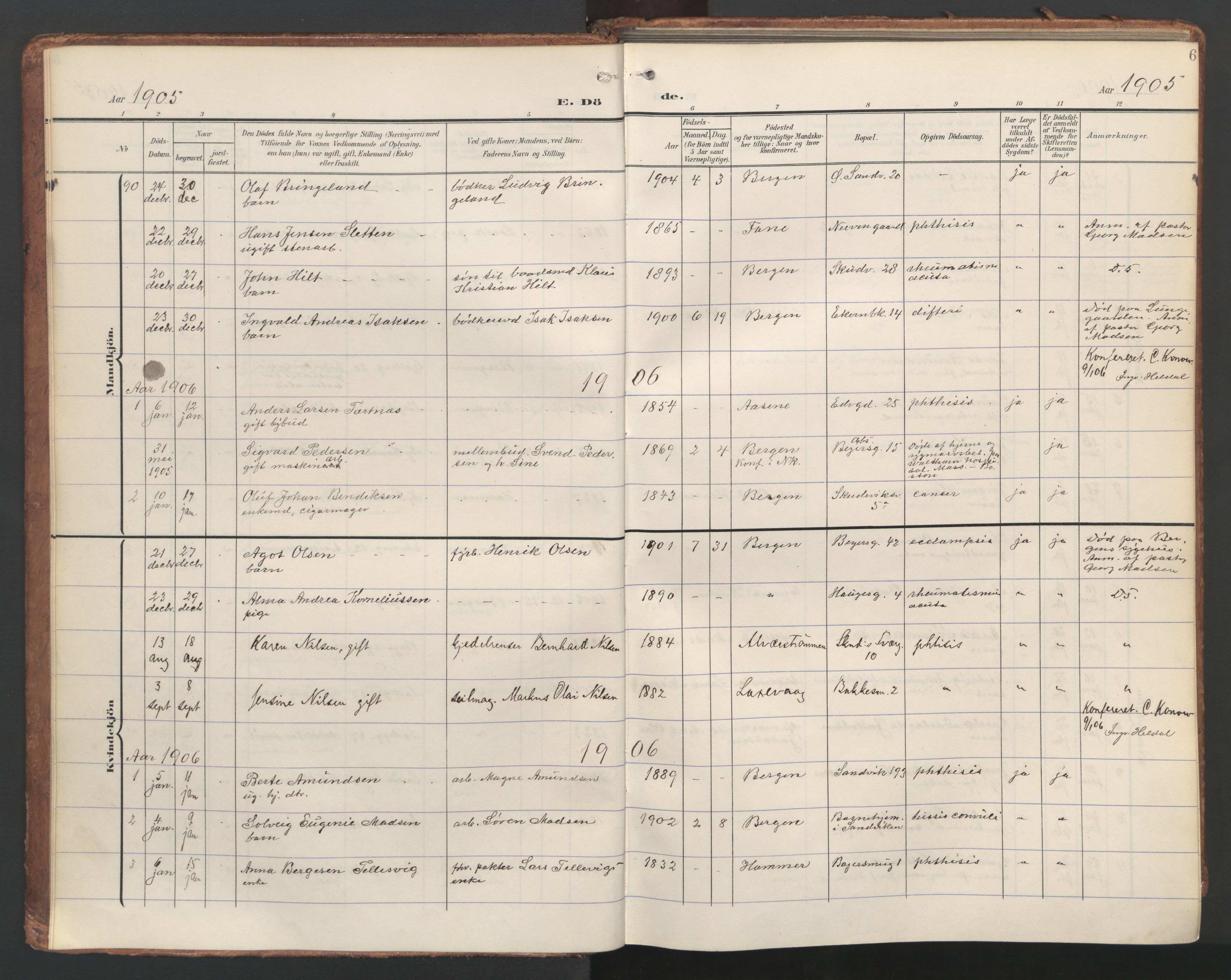 Sandviken Sokneprestembete, AV/SAB-A-77601/H/Ha/L0019: Parish register (official) no. E 2, 1905-1933, p. 6