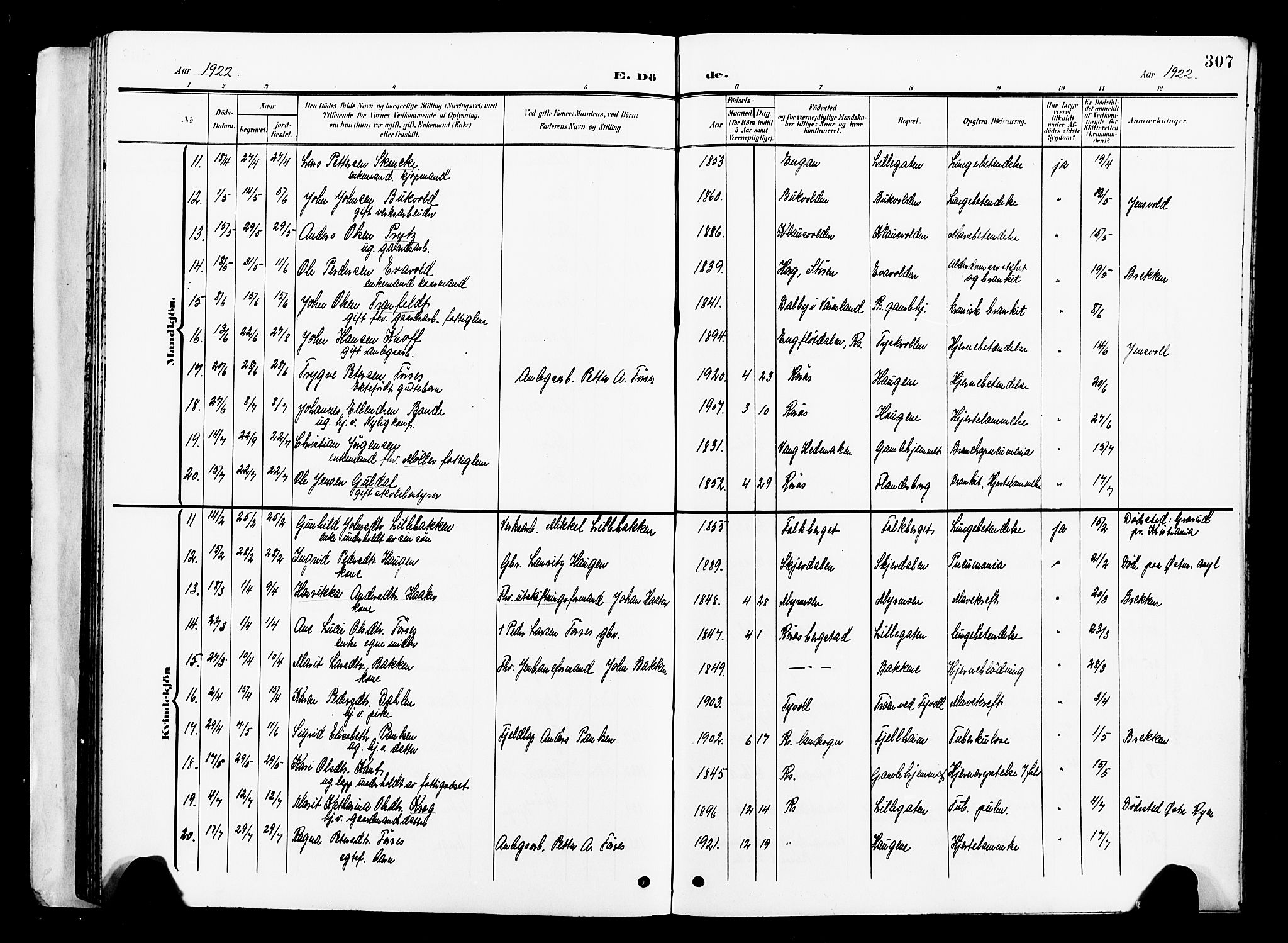 Ministerialprotokoller, klokkerbøker og fødselsregistre - Sør-Trøndelag, AV/SAT-A-1456/681/L0942: Parish register (copy) no. 681C06, 1906-1925, p. 307