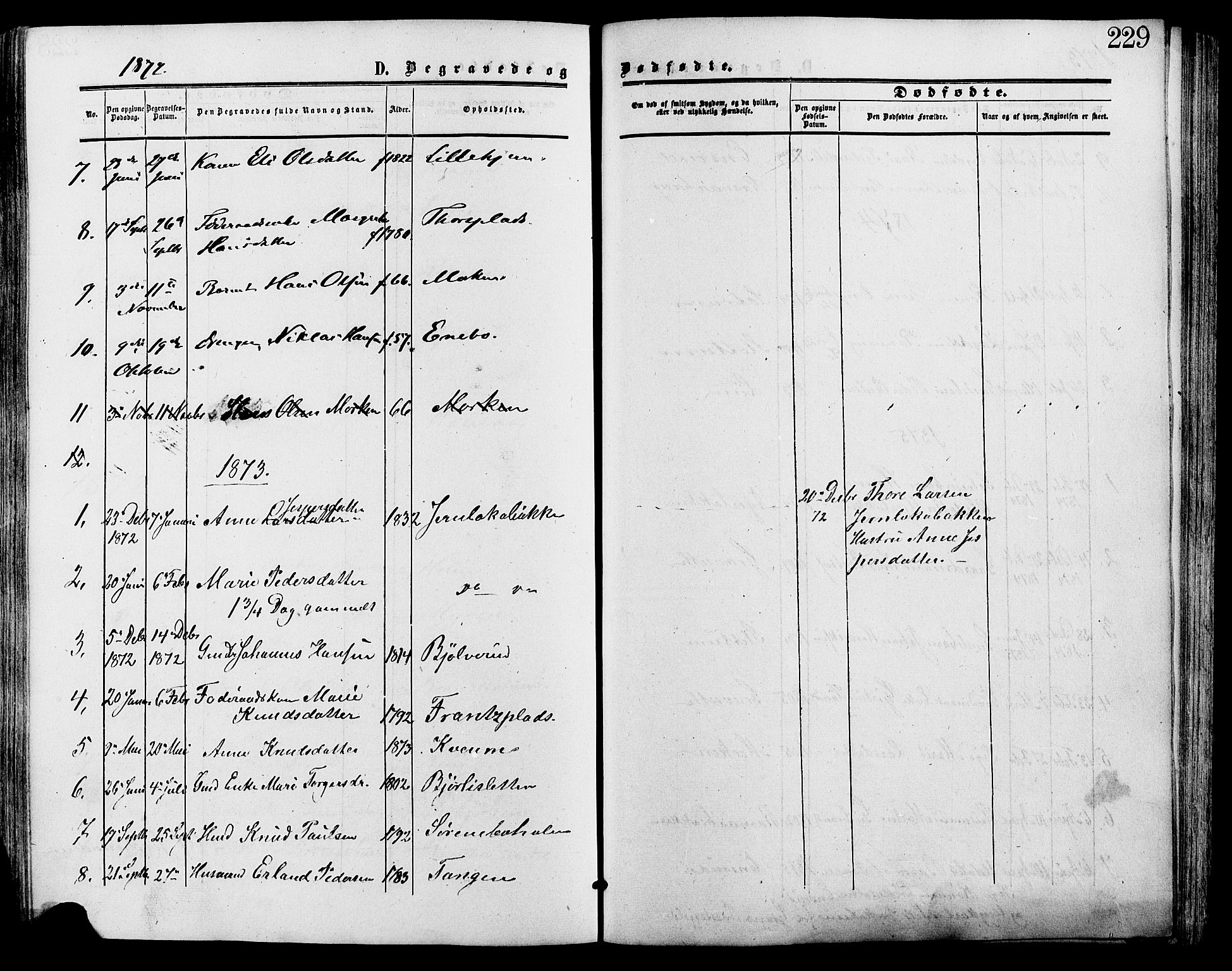 Lesja prestekontor, SAH/PREST-068/H/Ha/Haa/L0009: Parish register (official) no. 9, 1854-1889, p. 229