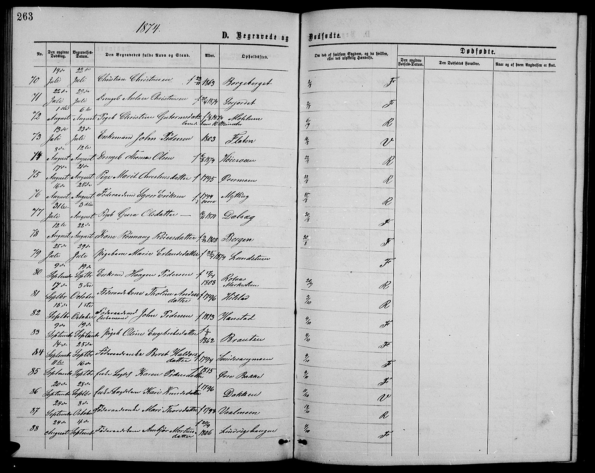 Ringebu prestekontor, SAH/PREST-082/H/Ha/Hab/L0004: Parish register (copy) no. 4, 1867-1879, p. 263