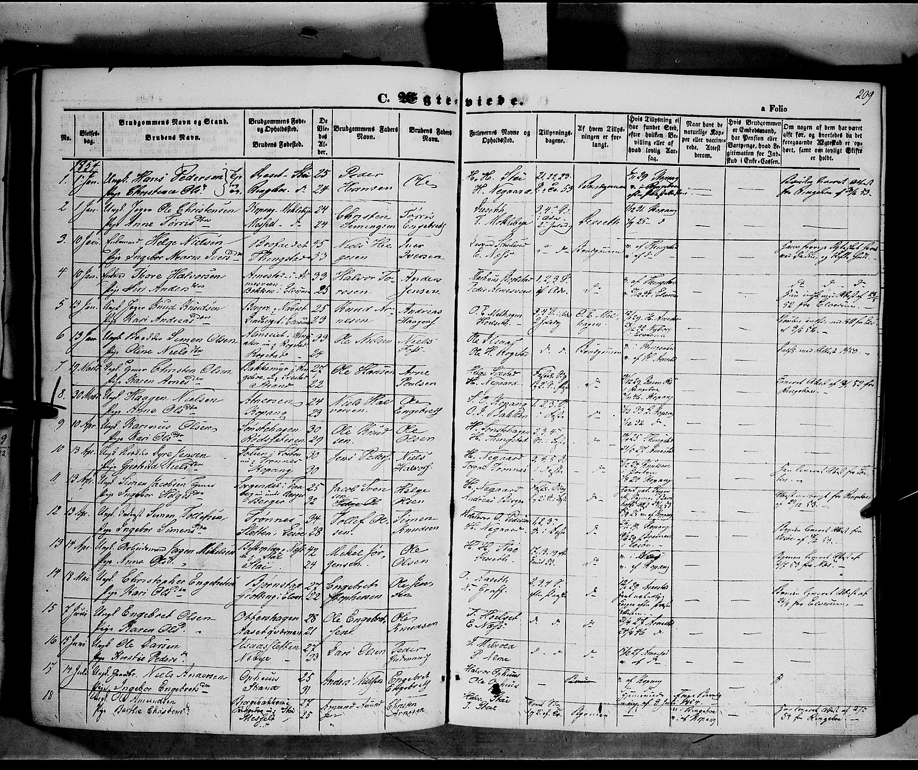Åmot prestekontor, Hedmark, SAH/PREST-056/H/Ha/Haa/L0006: Parish register (official) no. 6, 1842-1861, p. 209